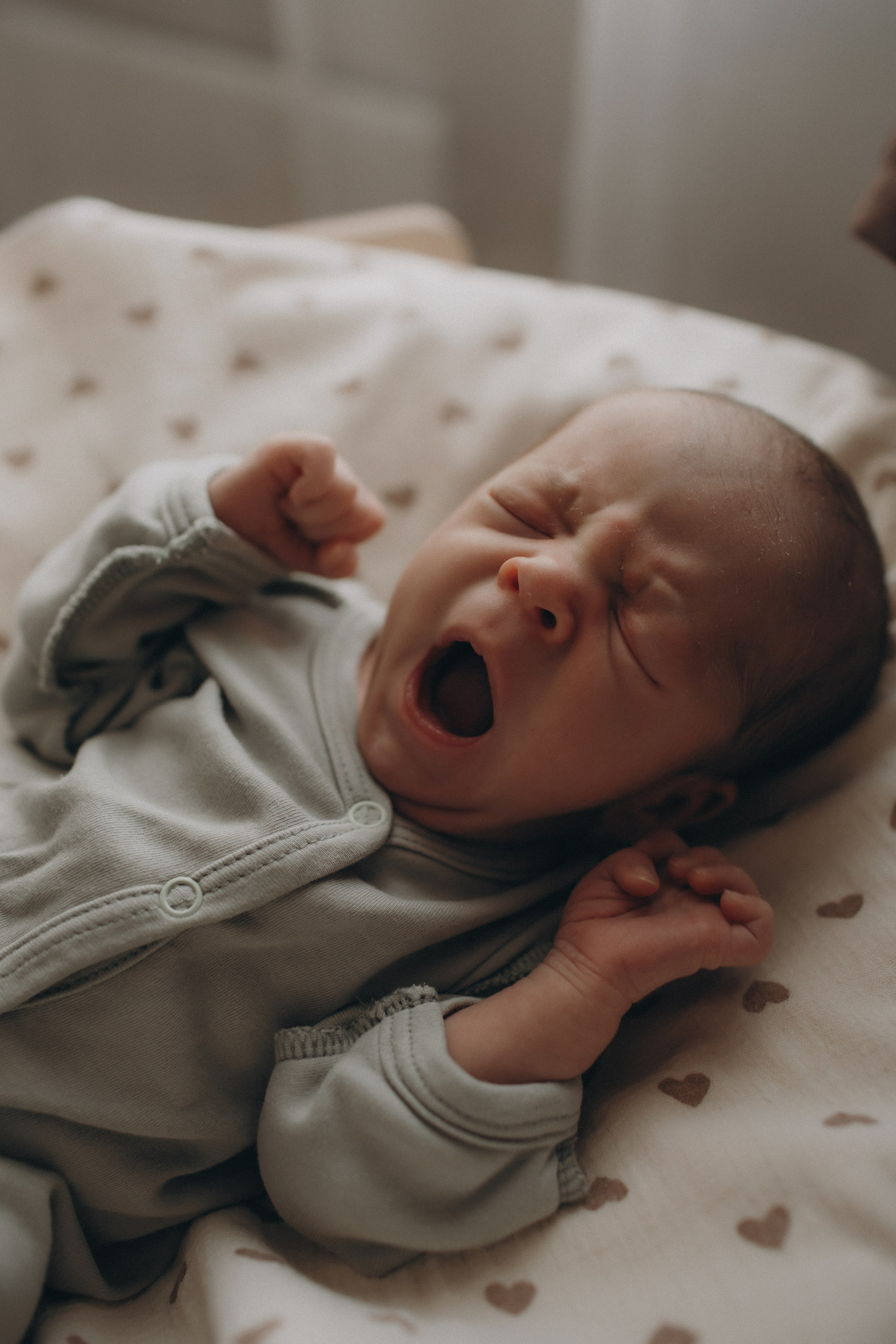 Савелию 12 дней!. Семейный фотограф в Челябинске Ксения Зубкова