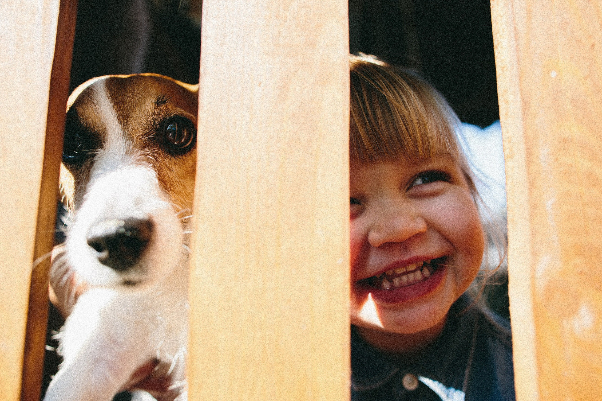 НЕЗАБЫВАЕМЫЕ МОМЕНТЫ. Семейная и детская фотография в Москве