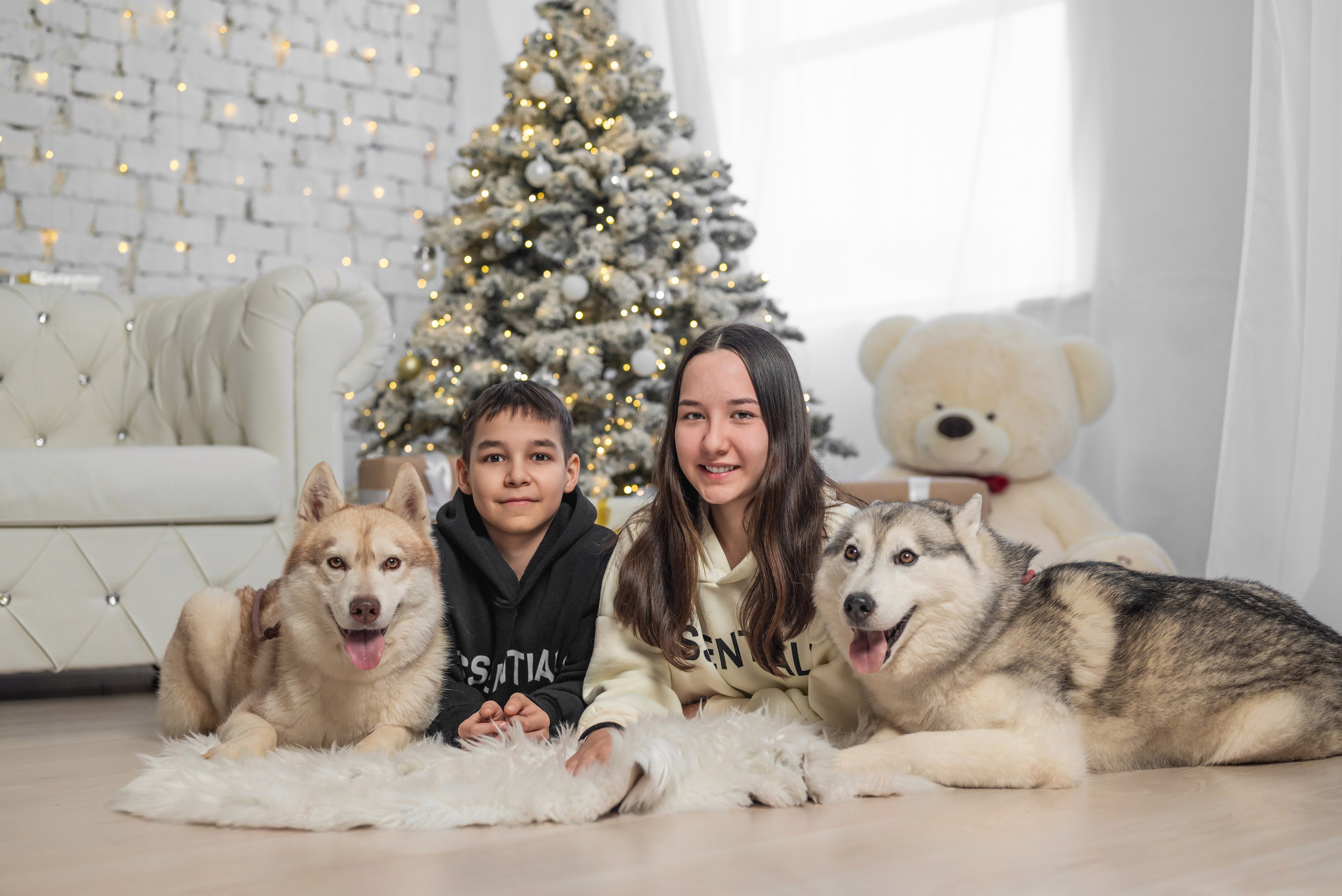 Фотопроект с хаски. Фотограф в городе Салават