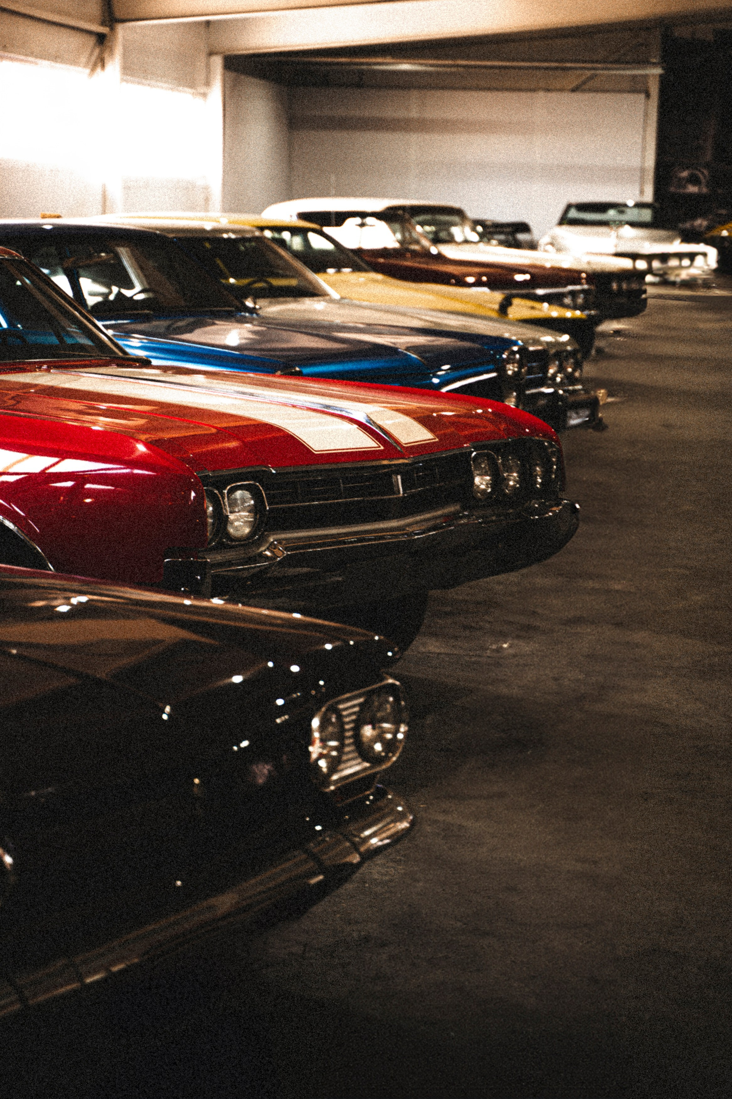 Autorancho. Фотограф Казань