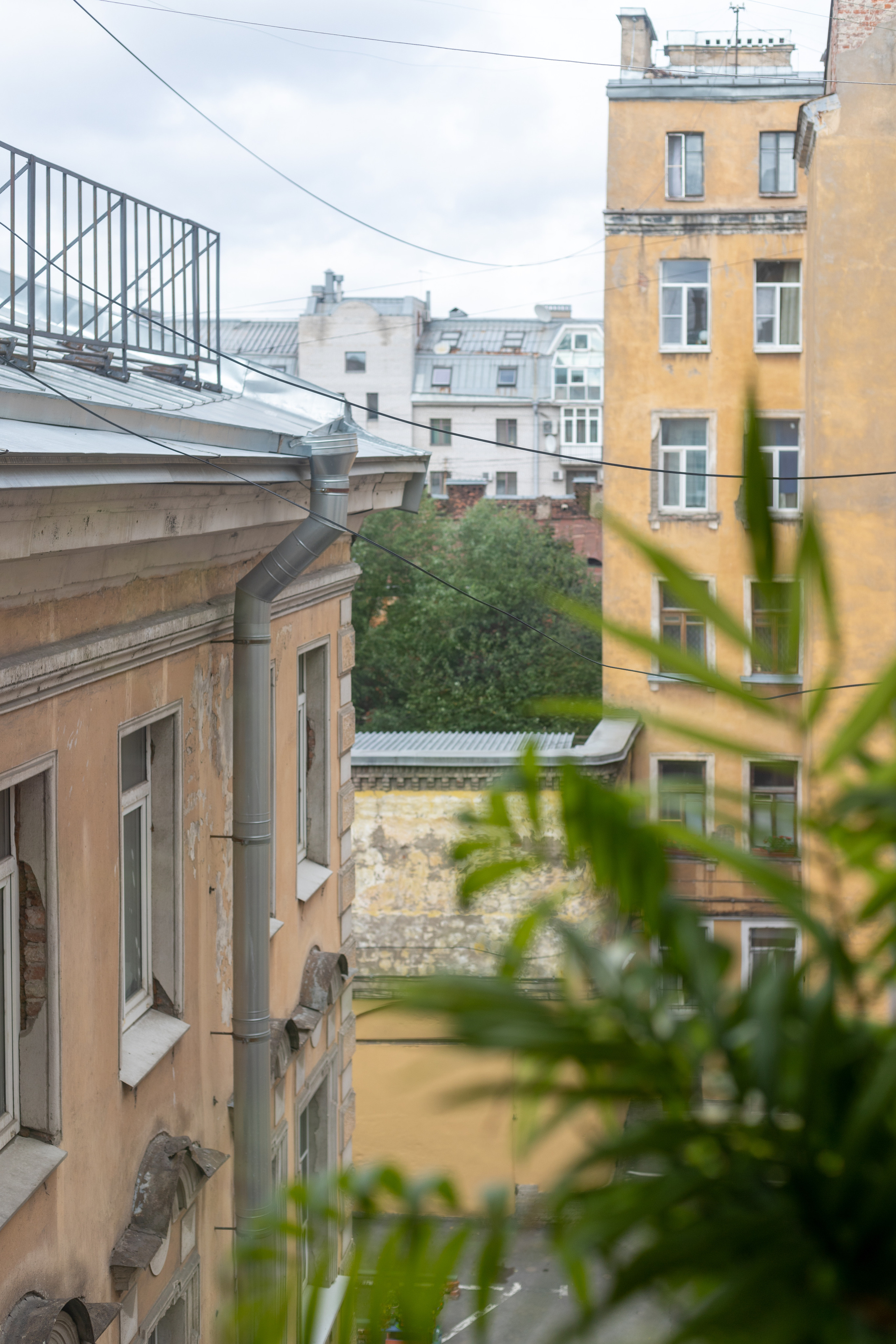 Посуточно на Тележном. Полина Носкова интерьерный фотограф