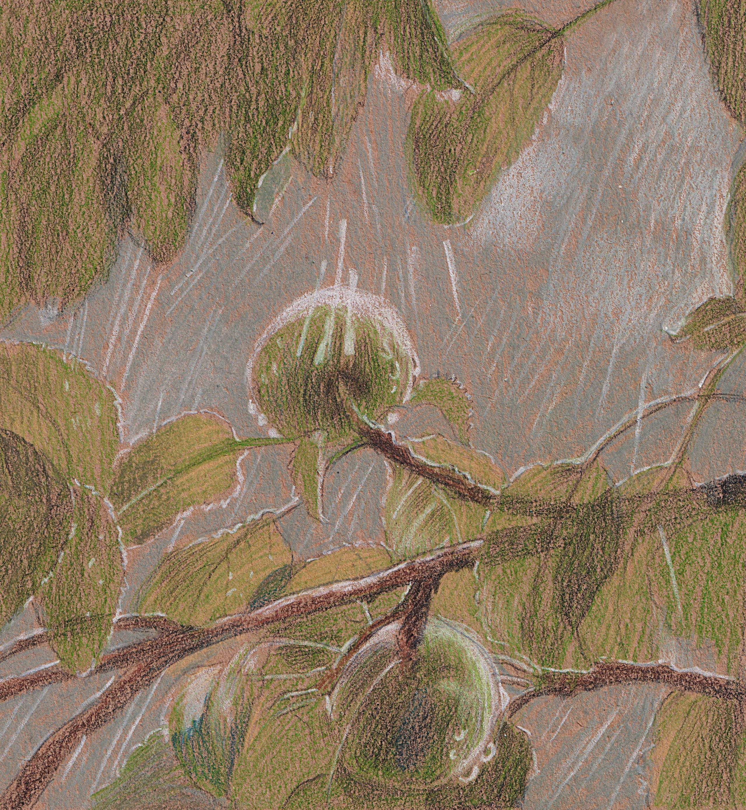 Книга «Эта улица мне знакома» Сергей Есенин. Художник Карина Милосердова