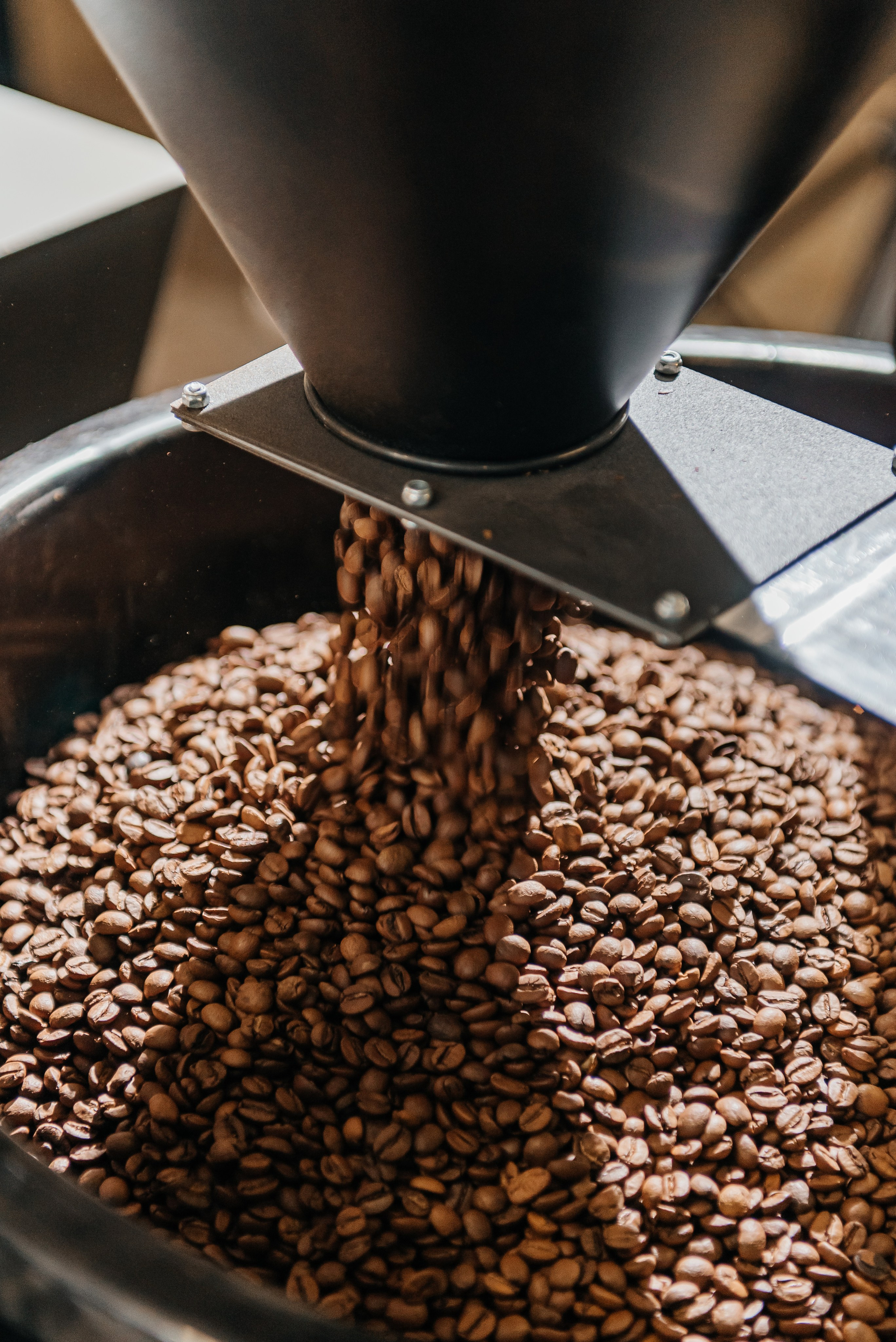 Ботаника кофе рекламная фотосессия. Профессиональный фотограф Артем Рахимов в Казани