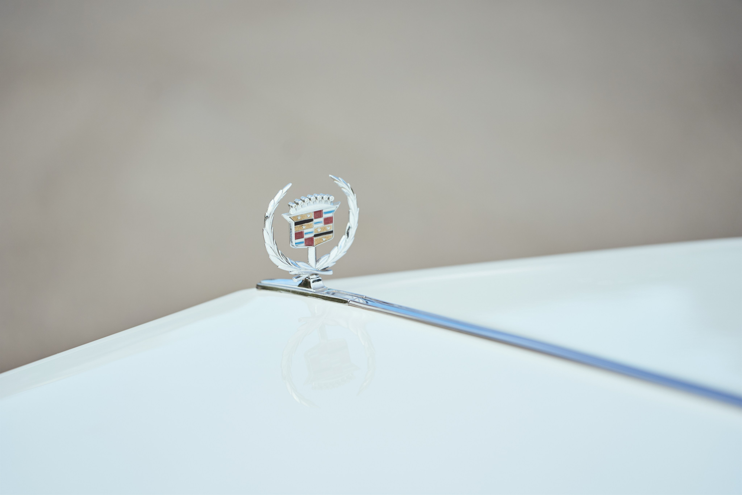 Амина и Влад. Фотограф Иван Сосновский