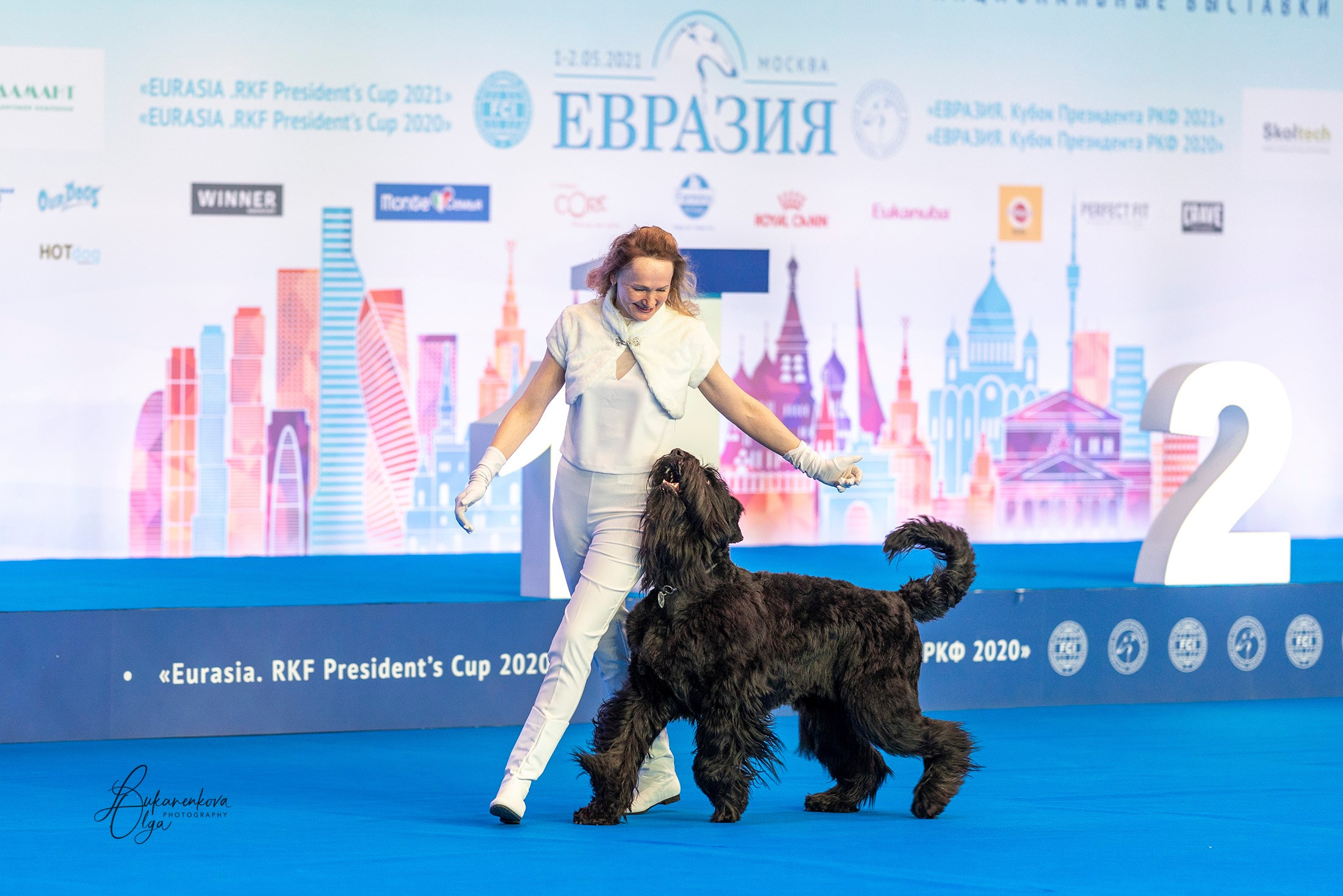 Танцы. Фотограф анималист Ольга Луканенкова в Москве