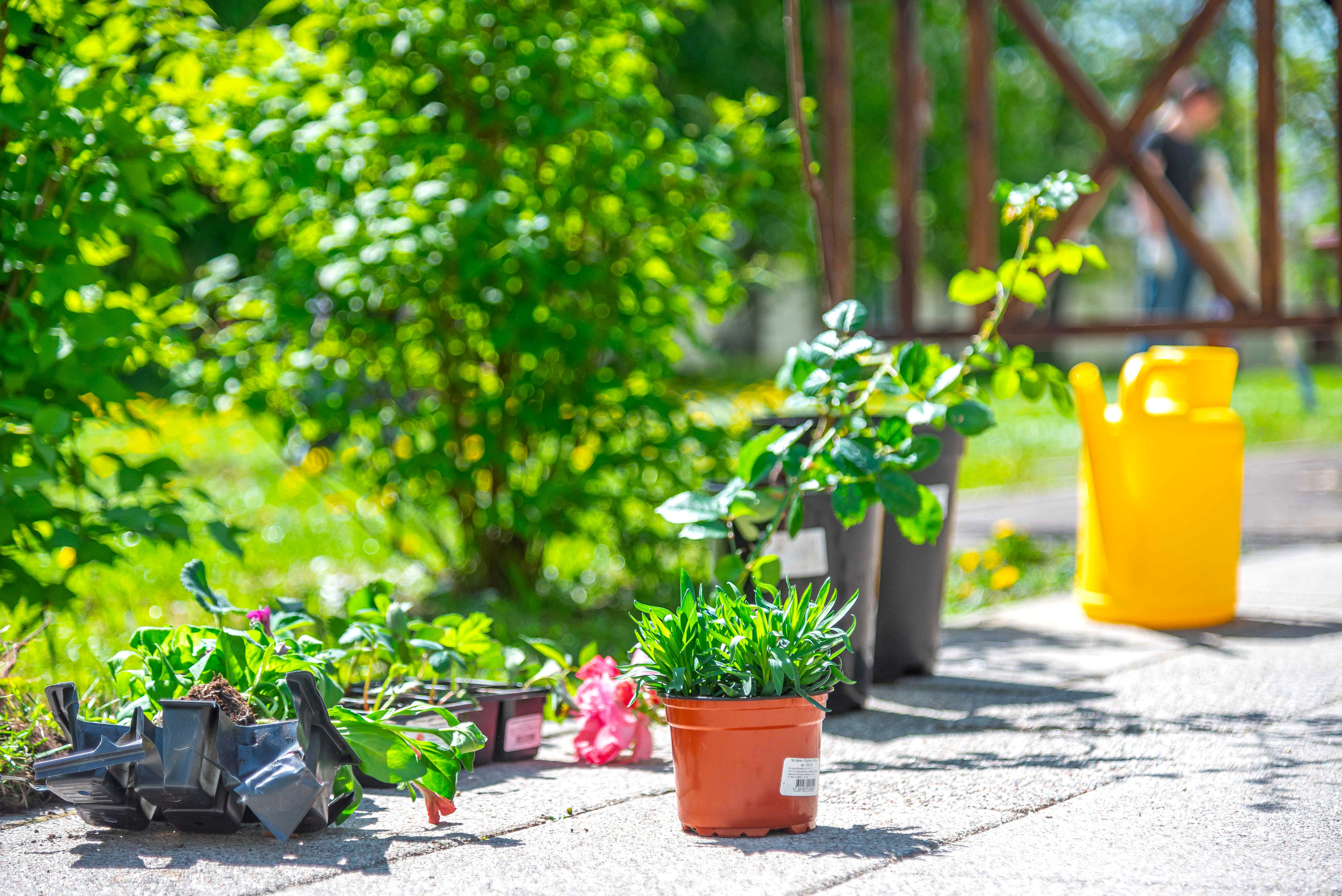 Репортажный фотограф Детские мероприятия - Спорт. г.Москва, от 5000р/час. Интерьерный & Репортажный фотограф Озеров Денис, г. Москва
