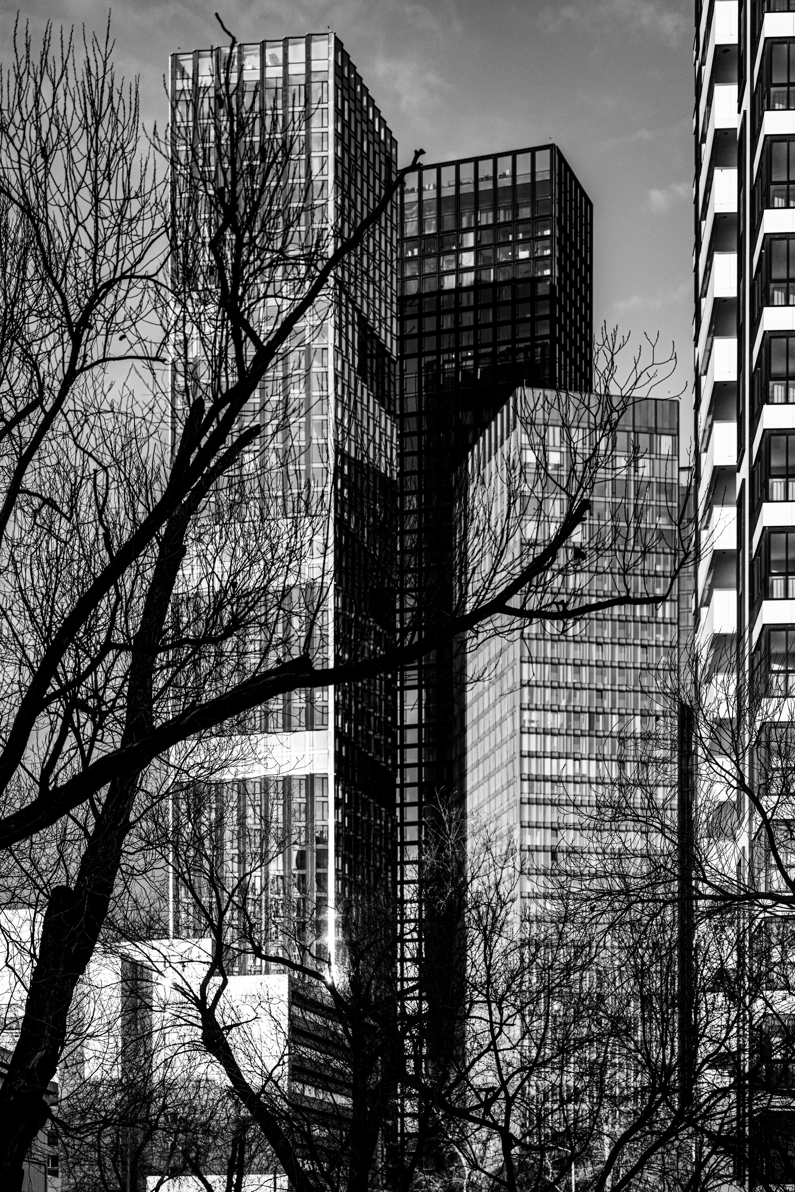 Весна в Савеловском 2026. Фотографирую жизнь! Московский фотограф волонтер