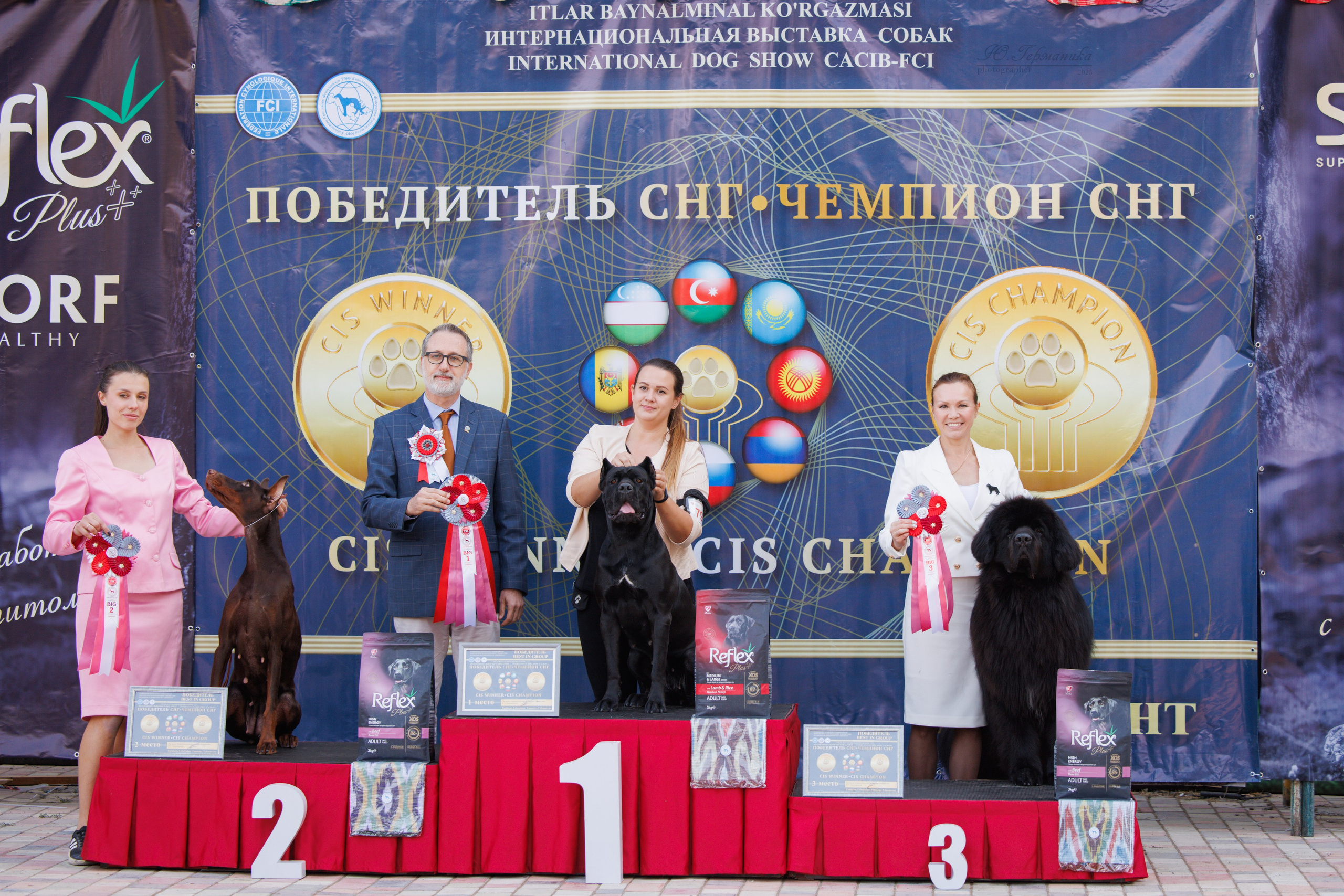 Ташкент 3хCACIB 3-5.10.2025. Фотограф-анималист Юлия Германика