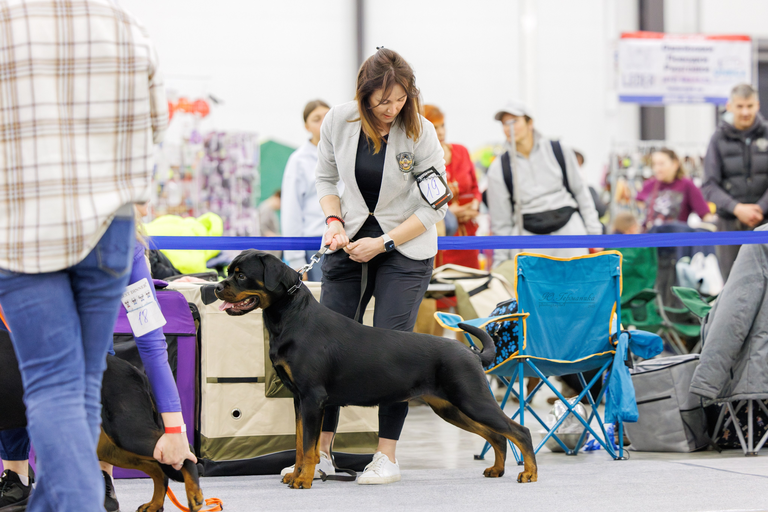 Питер 12-13.12.2025. Фотограф-анималист Юлия Германика