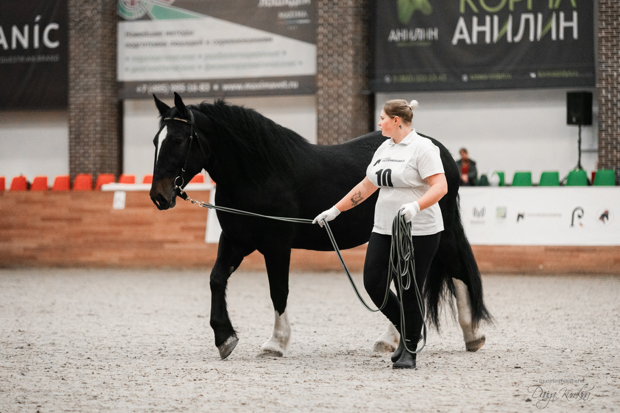 8-я международная выставка Конная Россия. Конный фотограф Куракина Дарья • Фотосессии с лошадьми