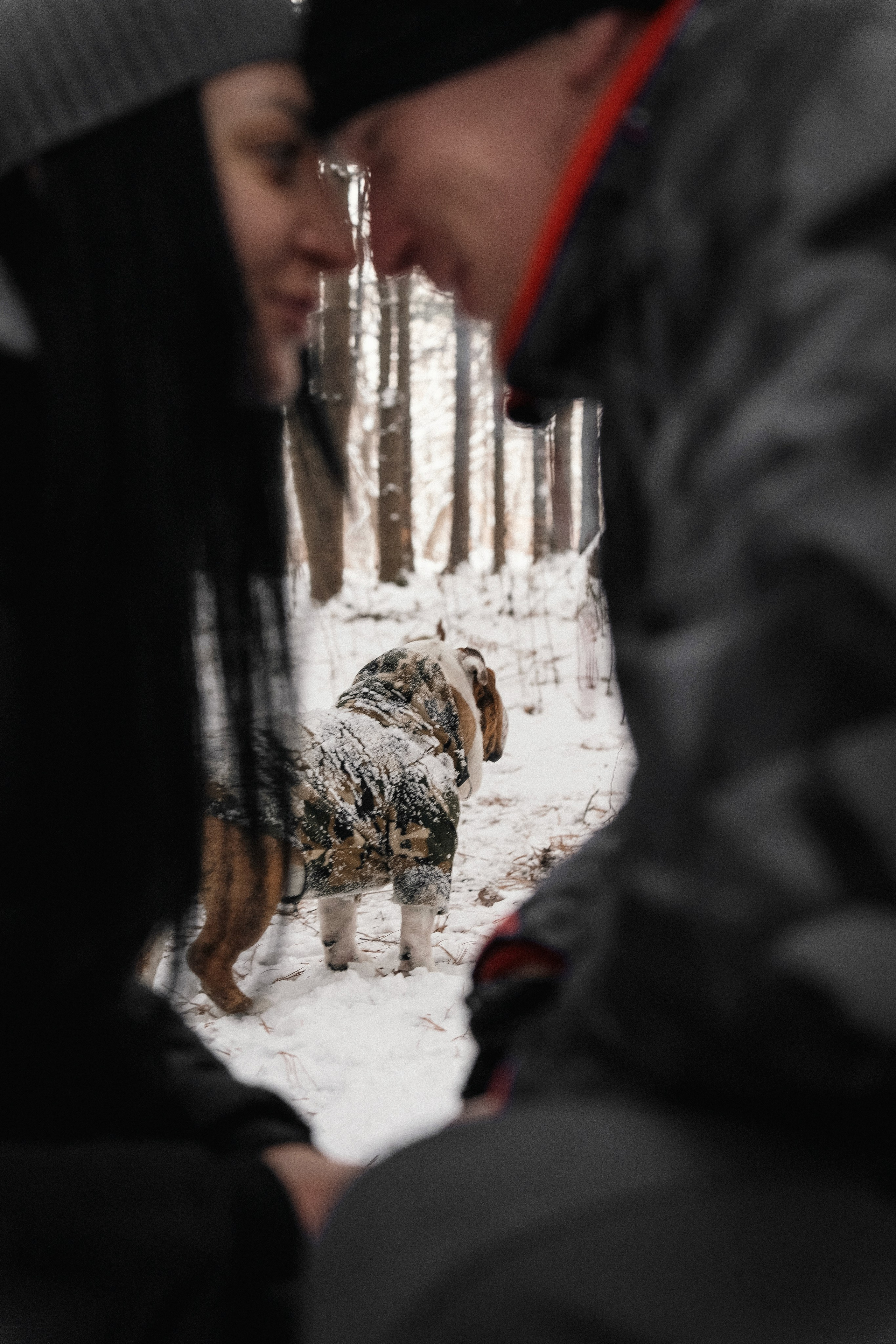 Зимняя история. Семейный фотограф анималист г. Находка
