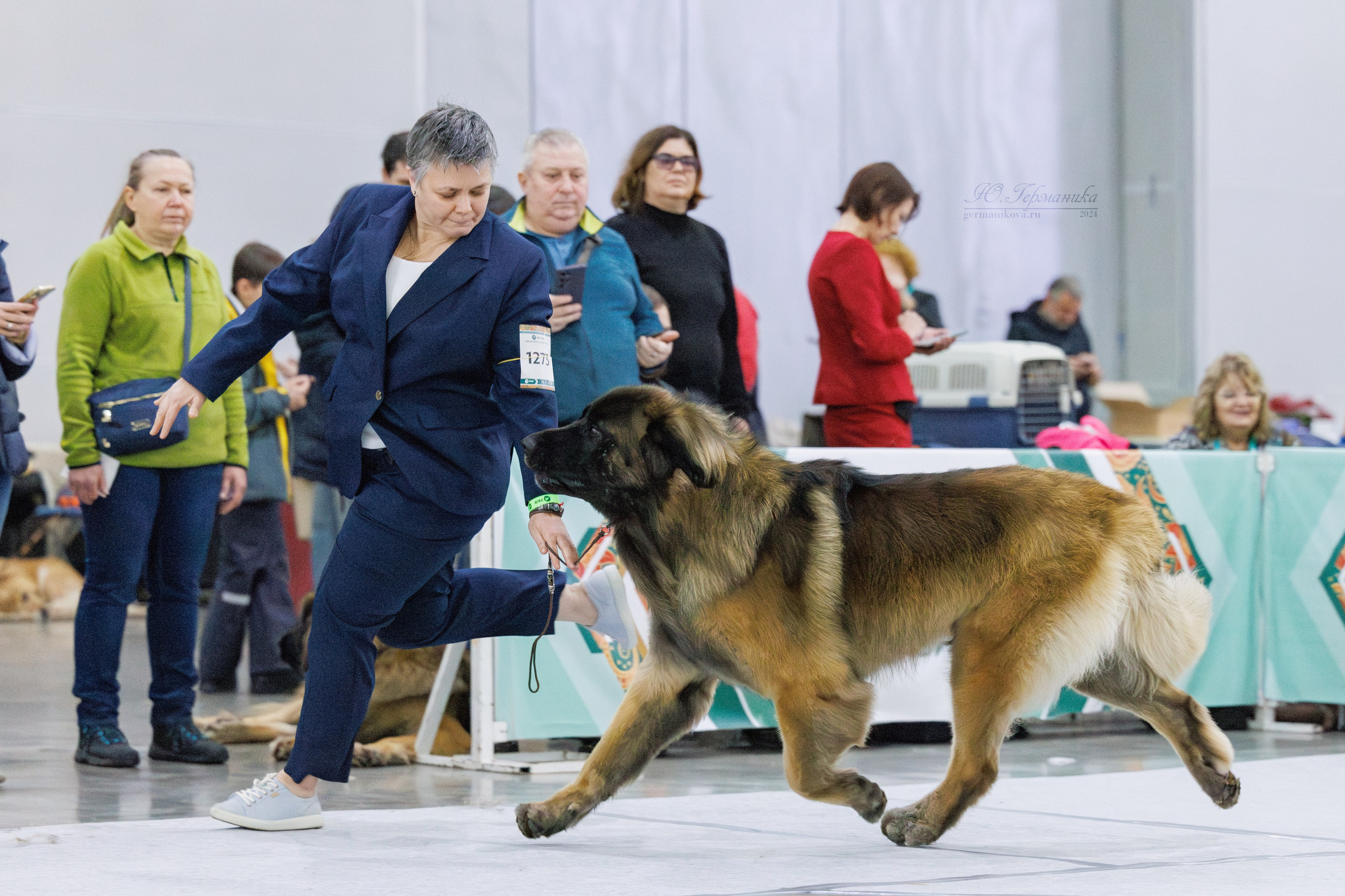 Евразия 16-17.11.2024. Фотограф-анималист Юлия Германика