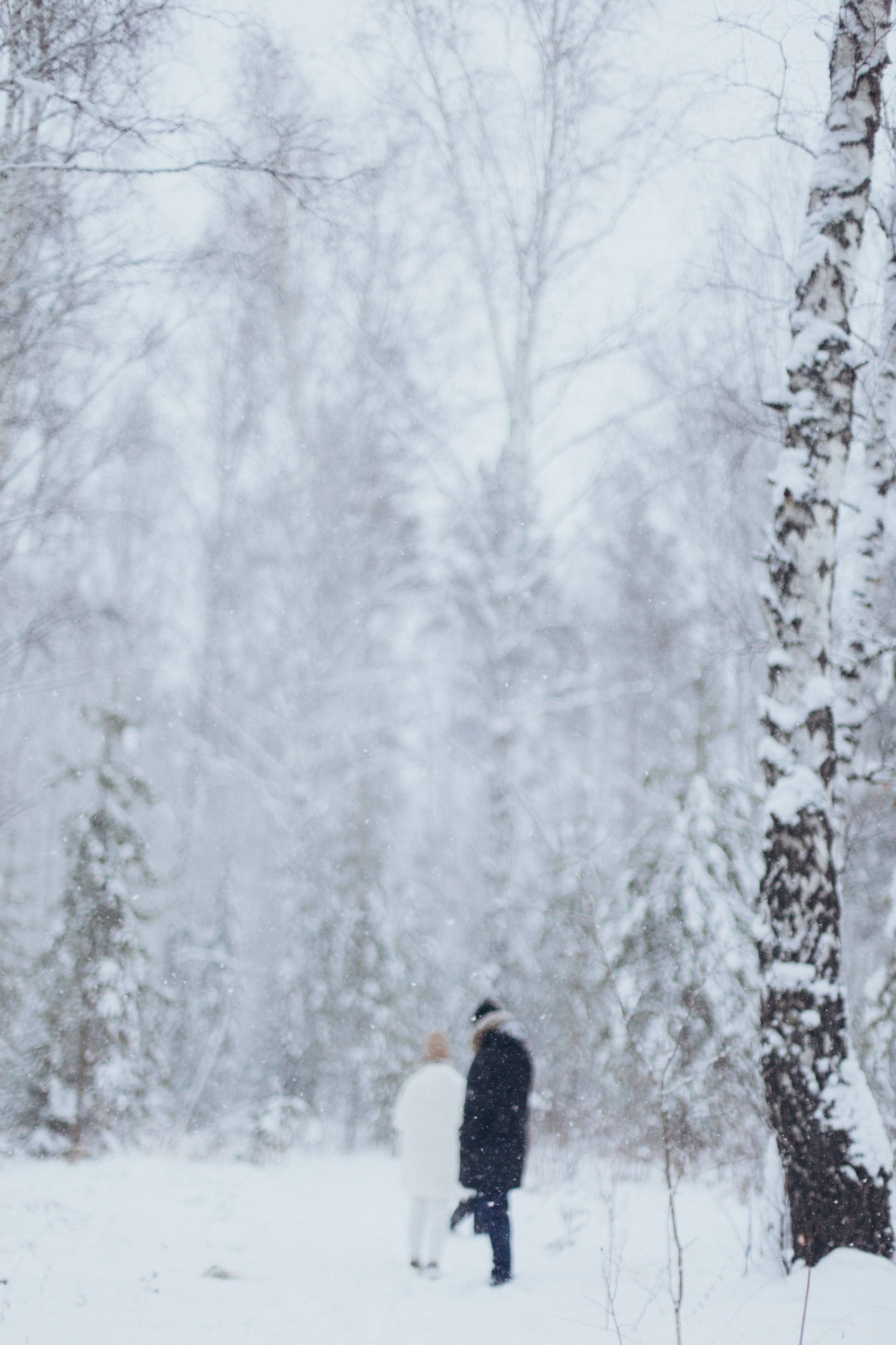 Зимняя история