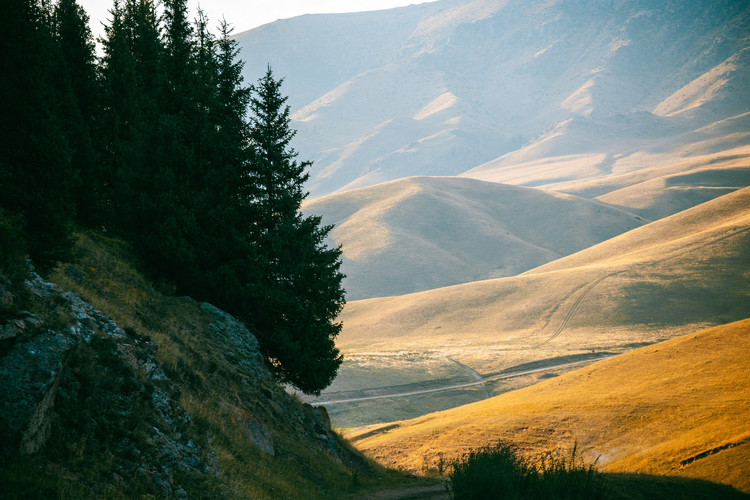 Поездка на плато Ассы и за пределами. Экскурсии и туры по Алматы