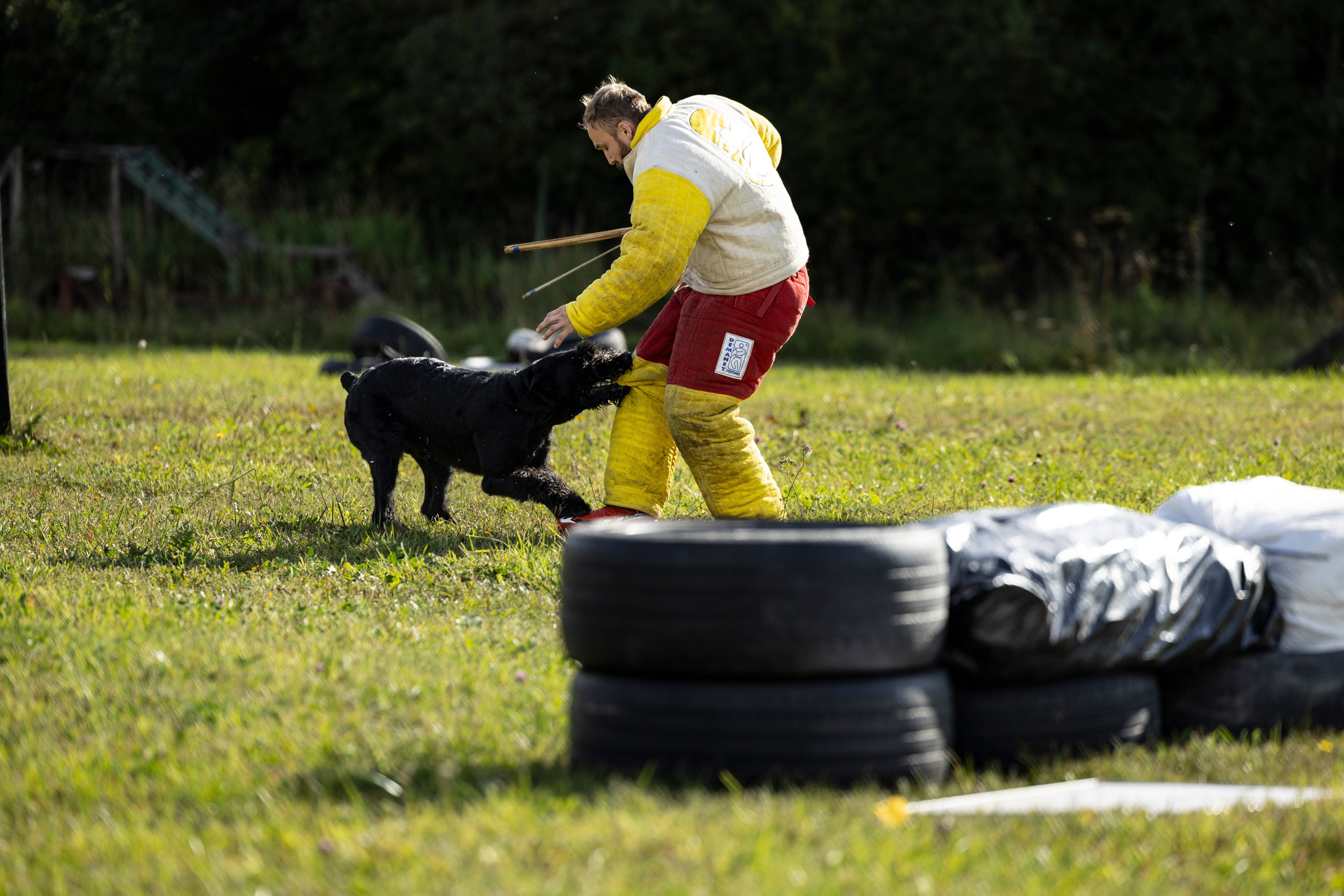 Испытания по Мондьорингу г. Пушкин. Фотограф-анималист Анна Маринич
