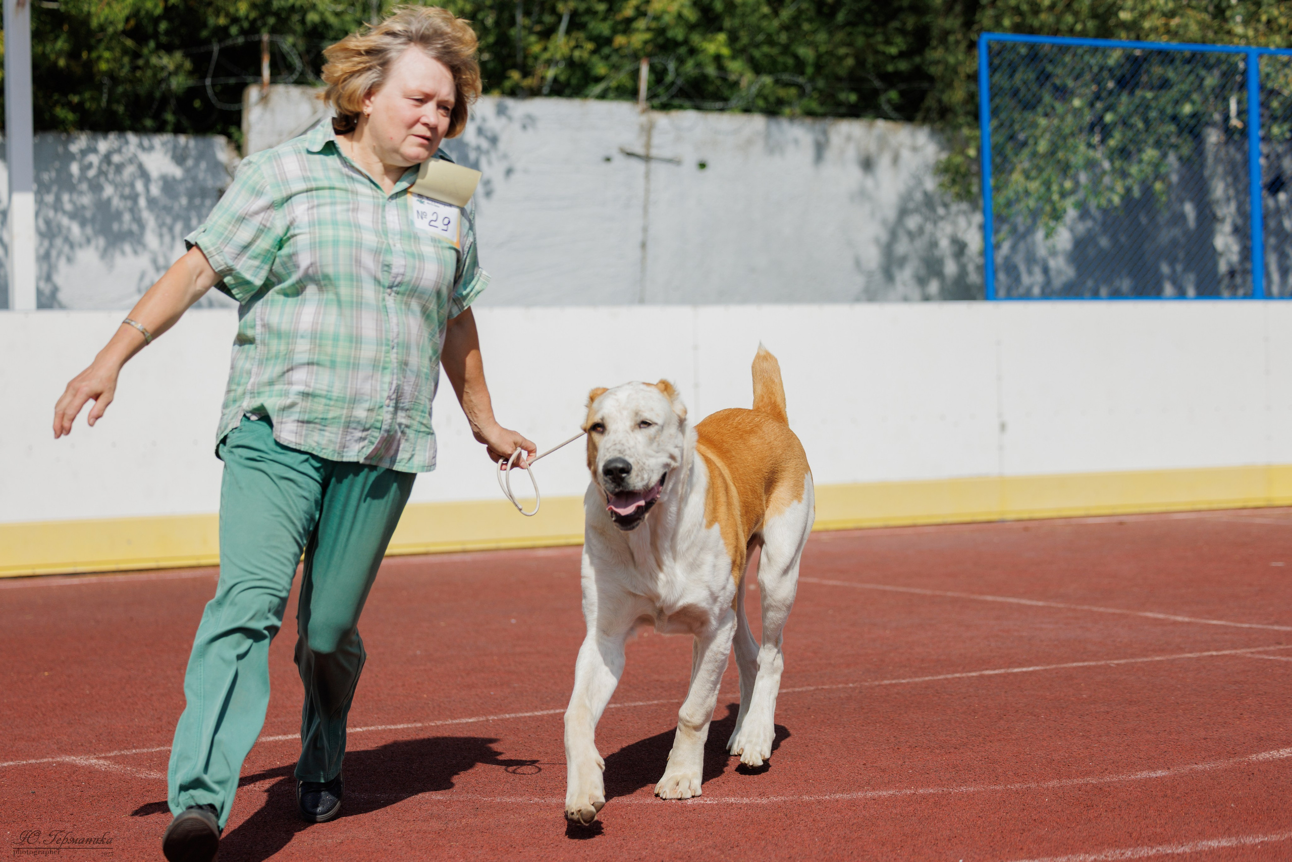Коломна 30.08.2025. Фотограф-анималист Юлия Германика