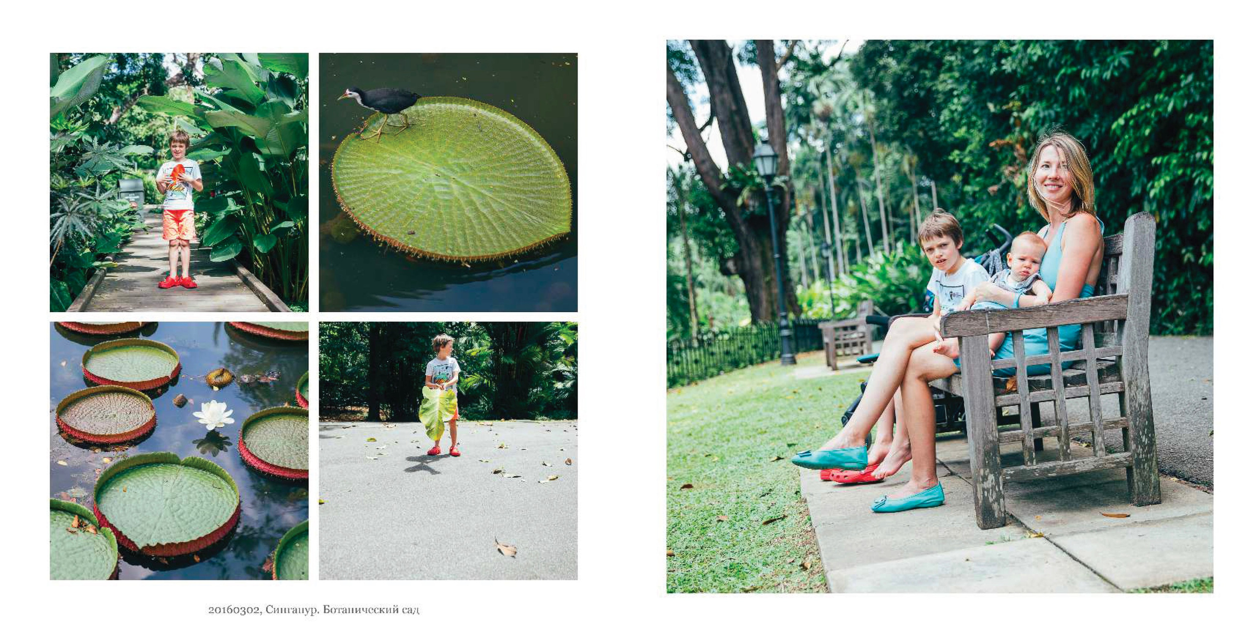 BEST FAMILY BOOK 2017