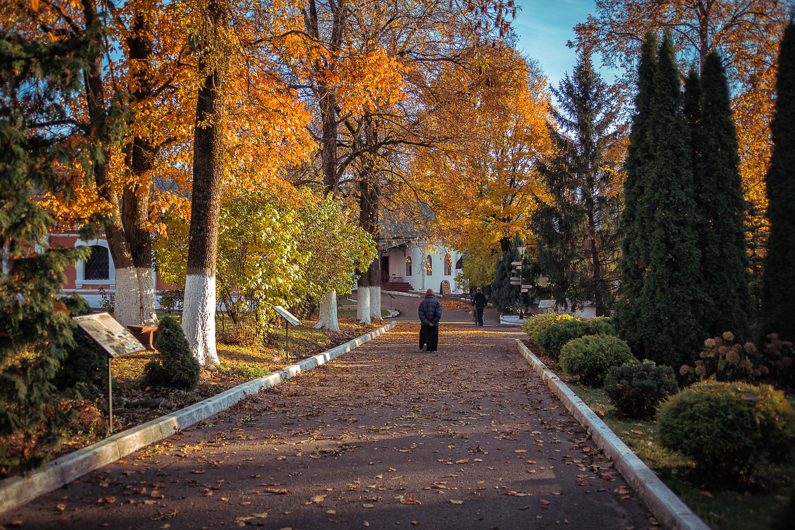 Псков. Семейный и детский фотограф в Москве Ольга Кривенцова