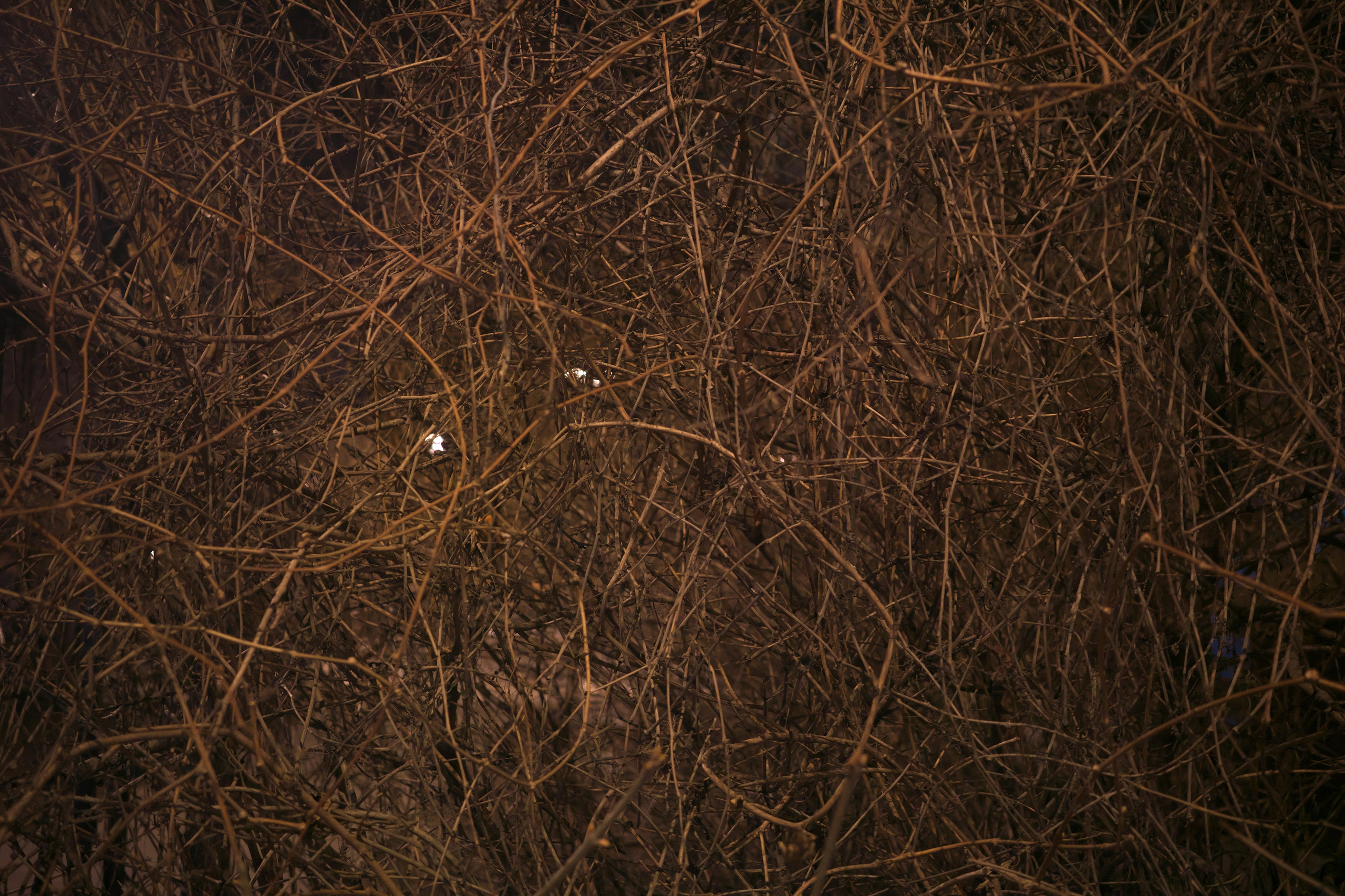 Московские сумерки 🌆. Миша Печёнкин | фотография