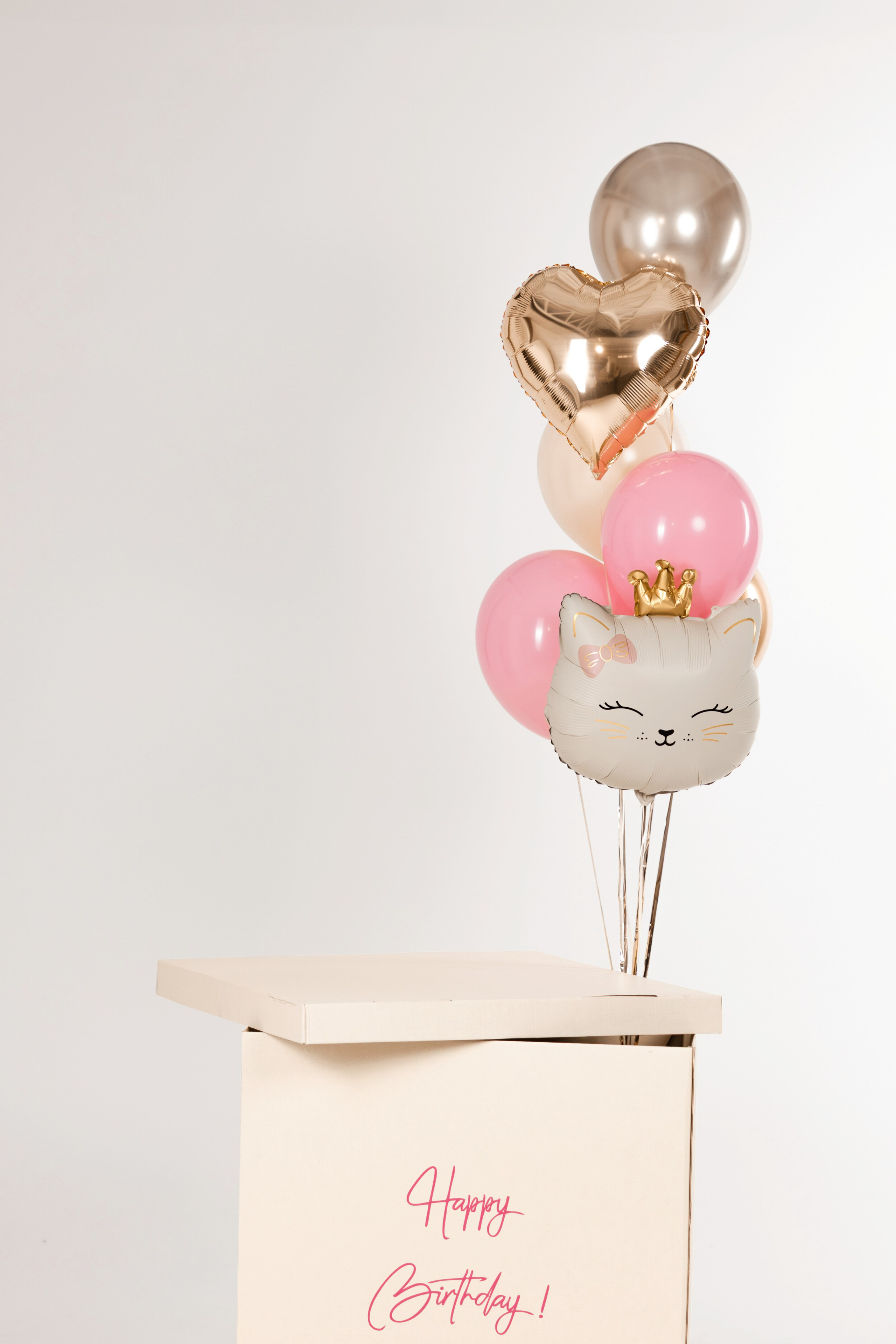 Gallery. Wow box balloon. poklon kutije za balone. boxes for balloons. veloprodaja i maloprodaja