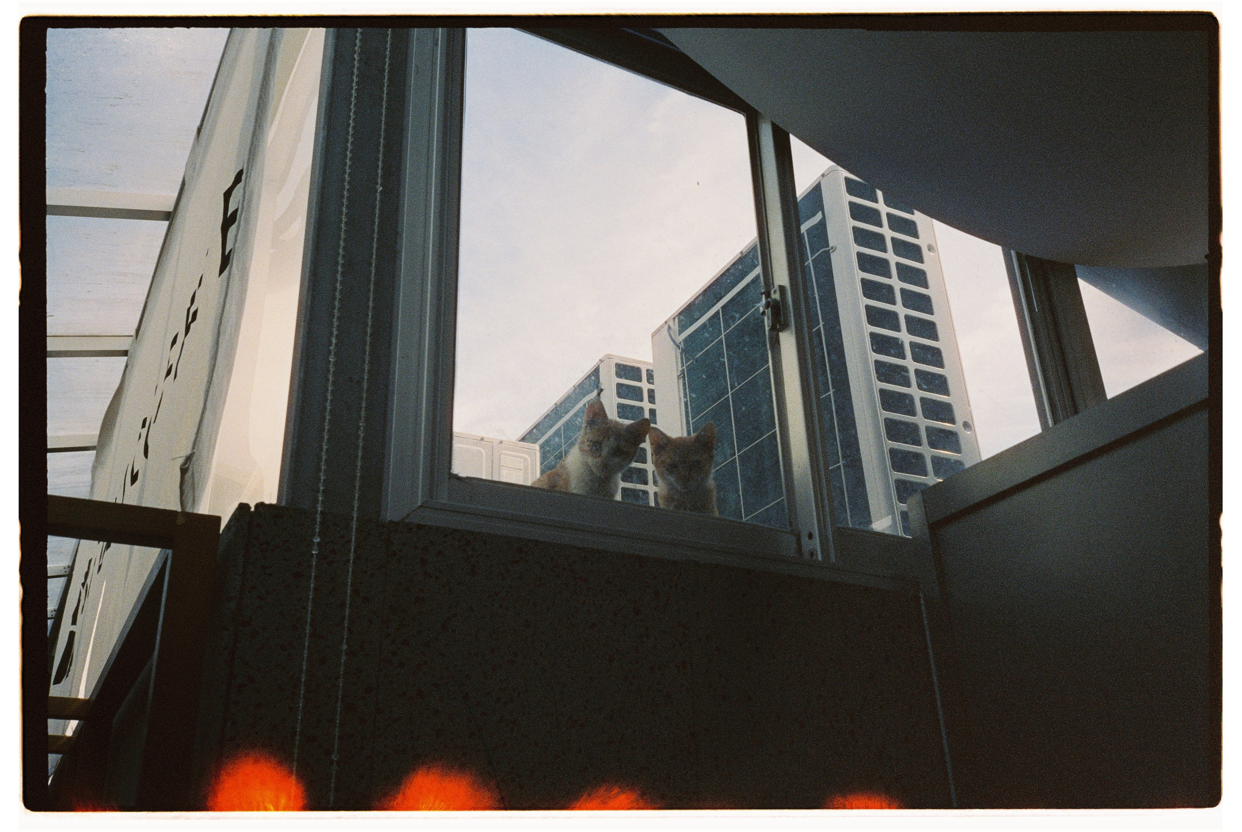 South Korea. @tomrus: Рустам Шагиморданов — фотограф