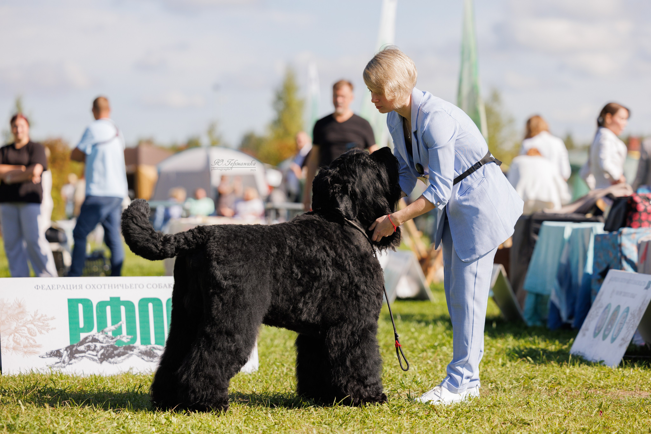 Переславль 5-7.08.2025. Фотограф-анималист Юлия Германика