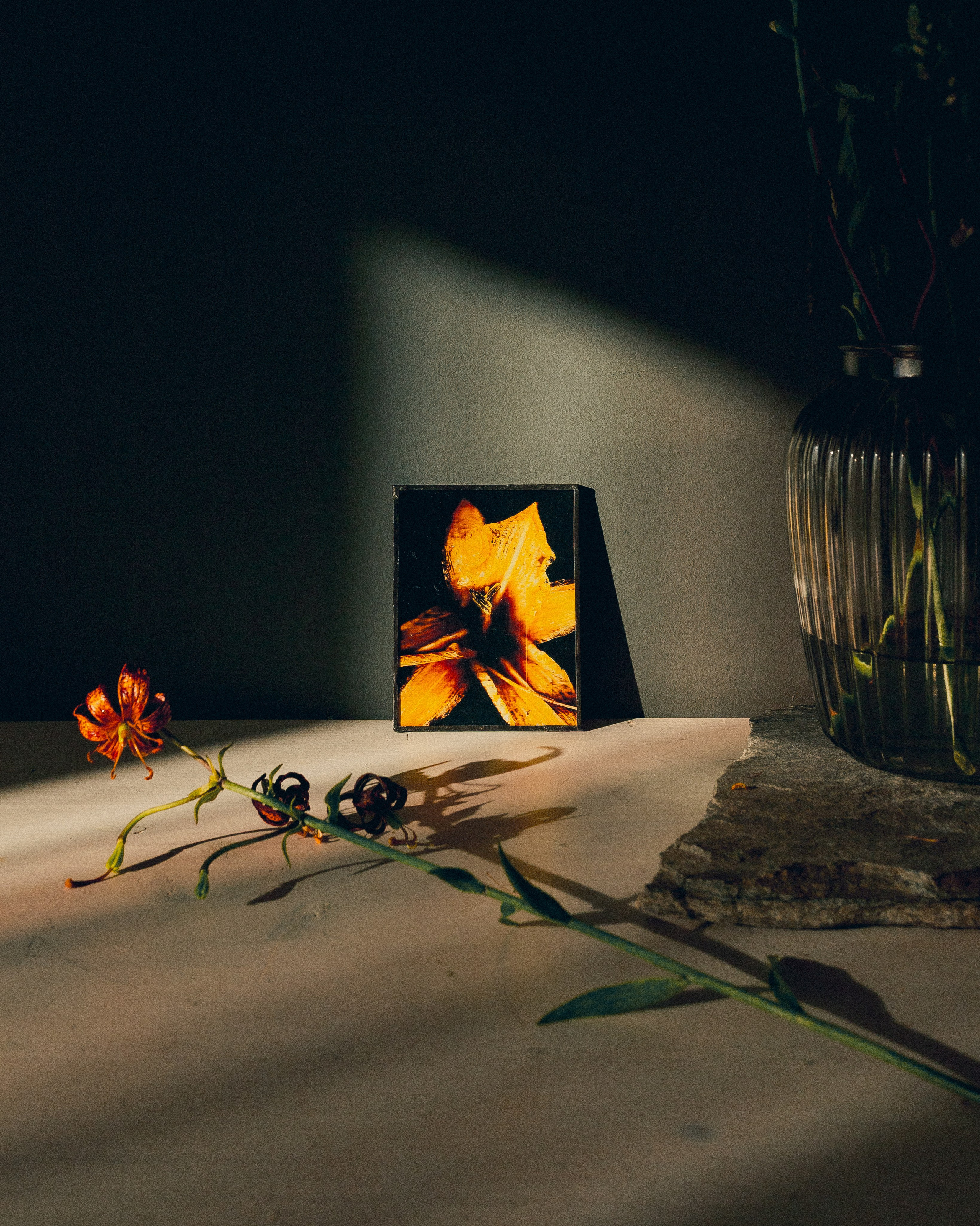 МЕРЧ. Арт-фотограф Даня Карельский