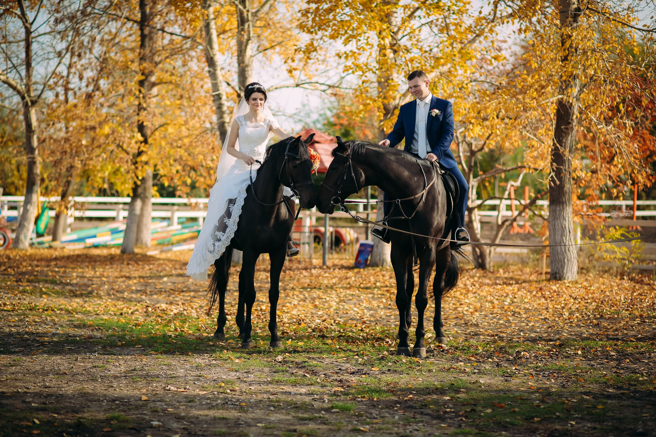 Свадебное фото портфолио. Свадебное фото и видео