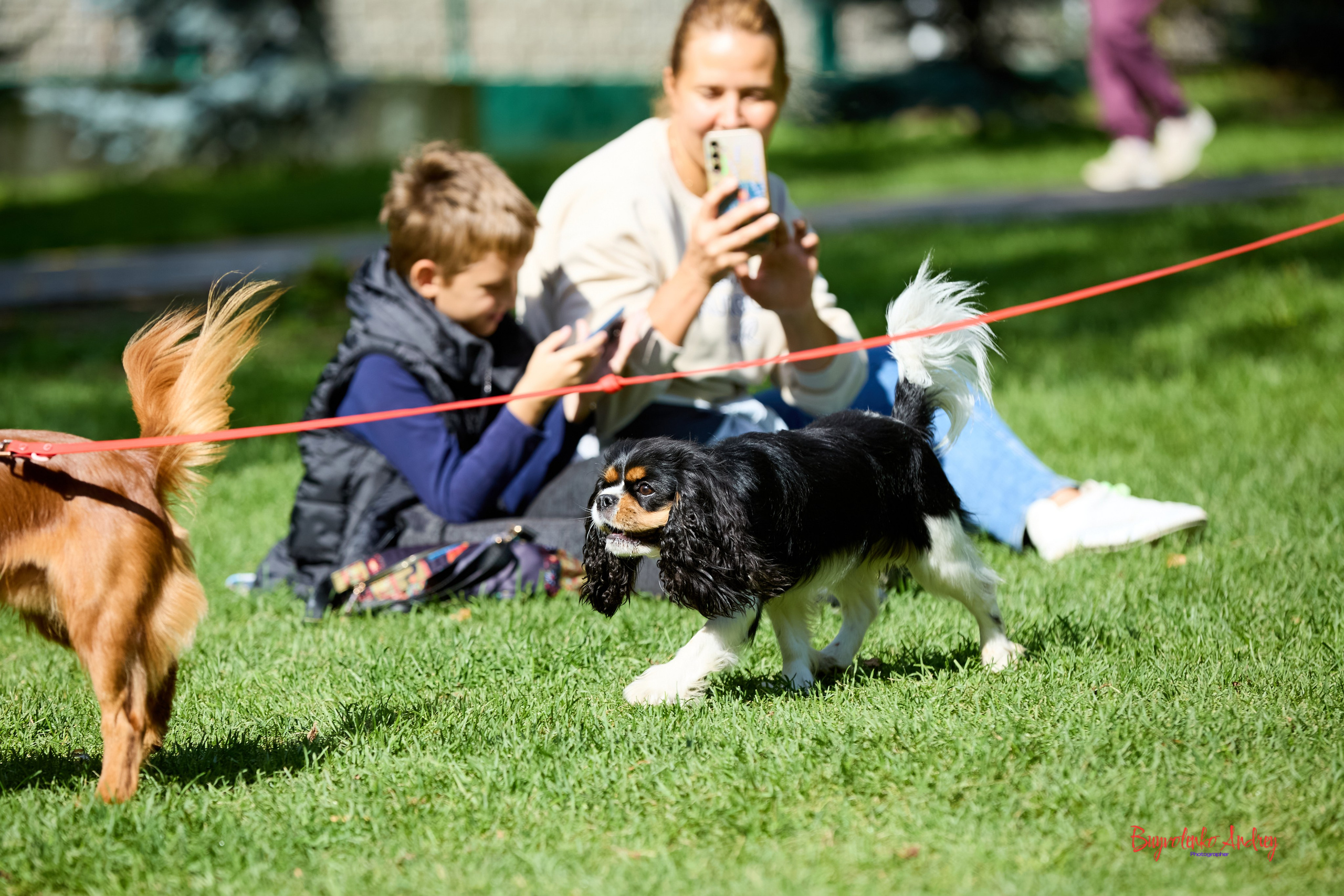 Фотопрогулка с кавалерами. Buyvolenko Andrey