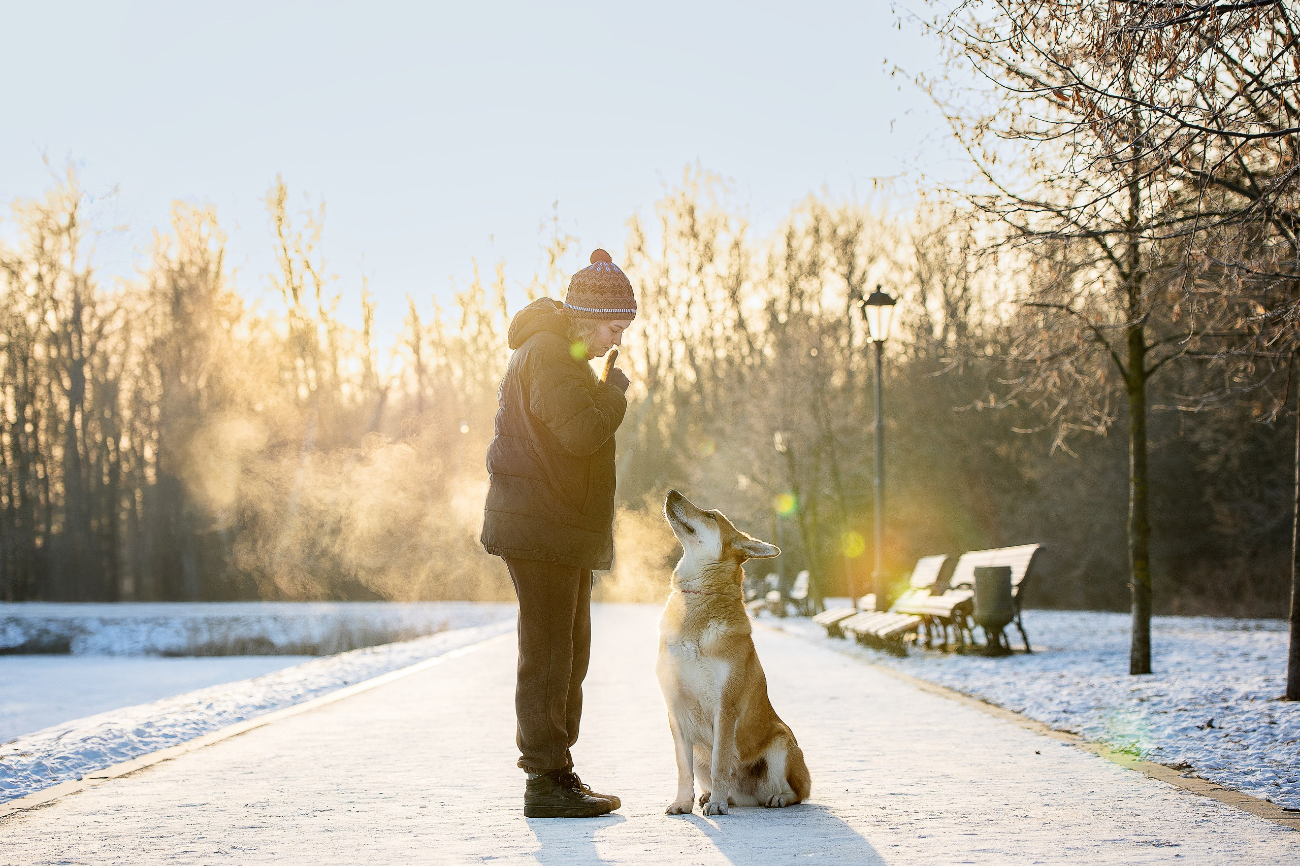 Конкурсные работы. Фотограф-анималист в Москве и Подмосковье