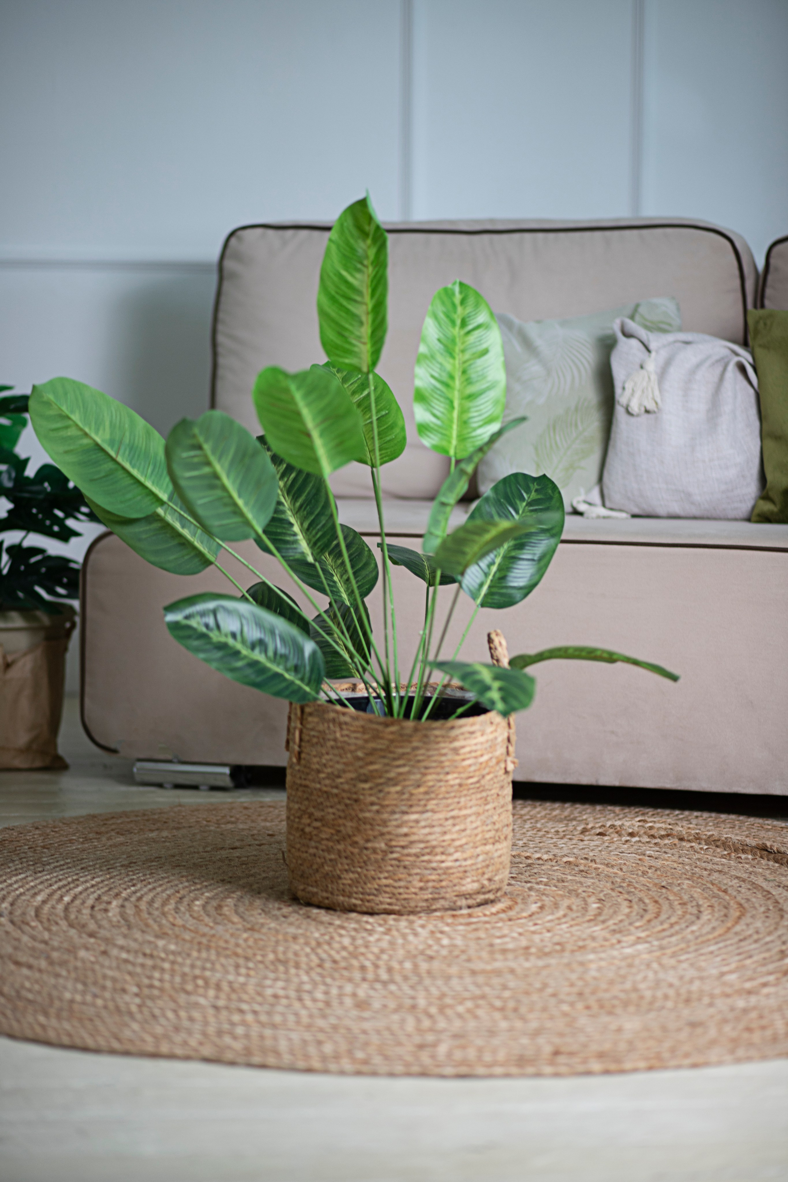 Маркетплейс. Фотограф Пушкино и Москва Анастасия Коган