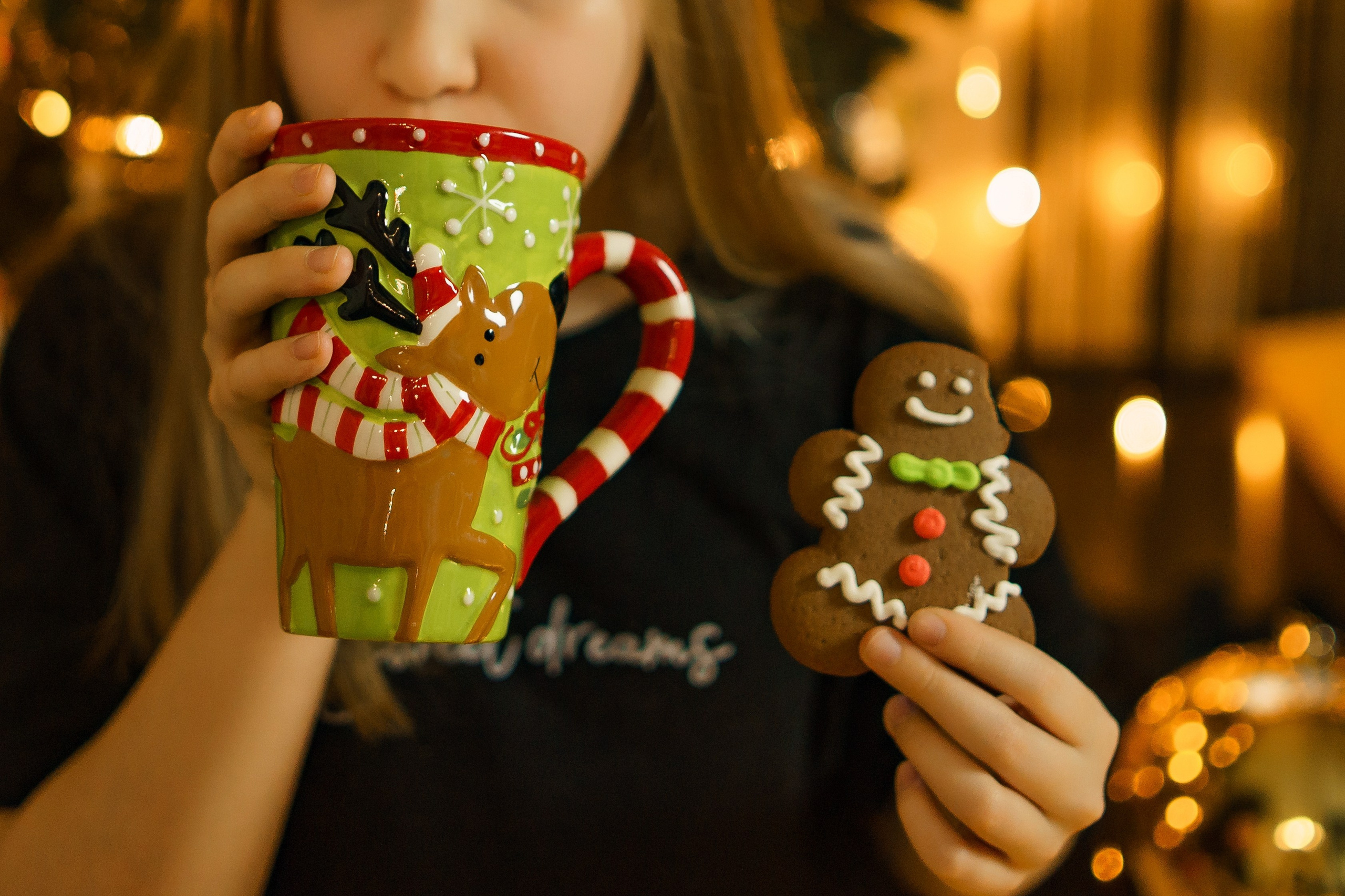 Новый Год. Фотограф Людмила Панюхина г. Нижний Новгород