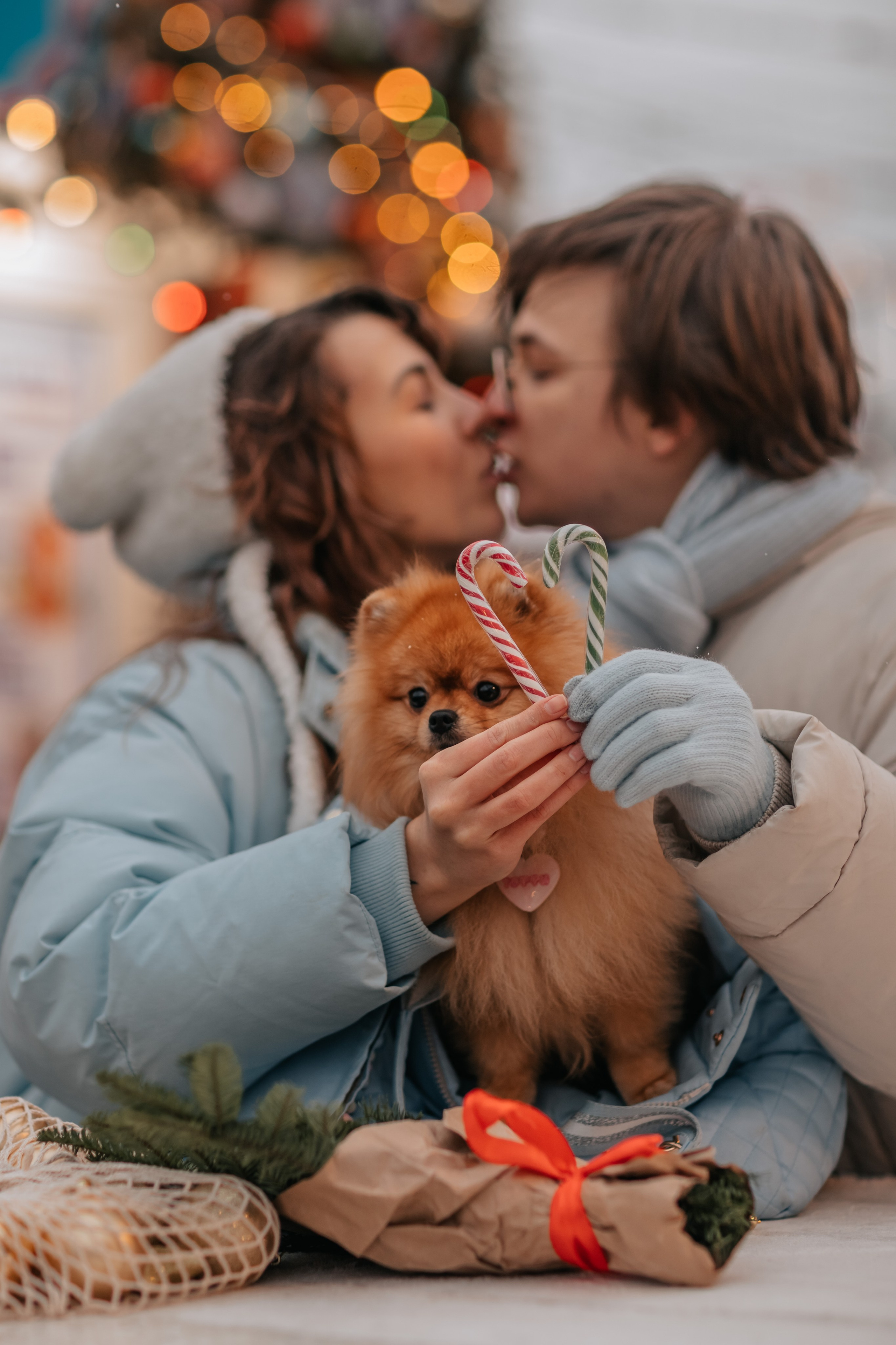 Тоффи и семья на новогодней ярмарке. Семейный фотограф анималист Мария Крючкова