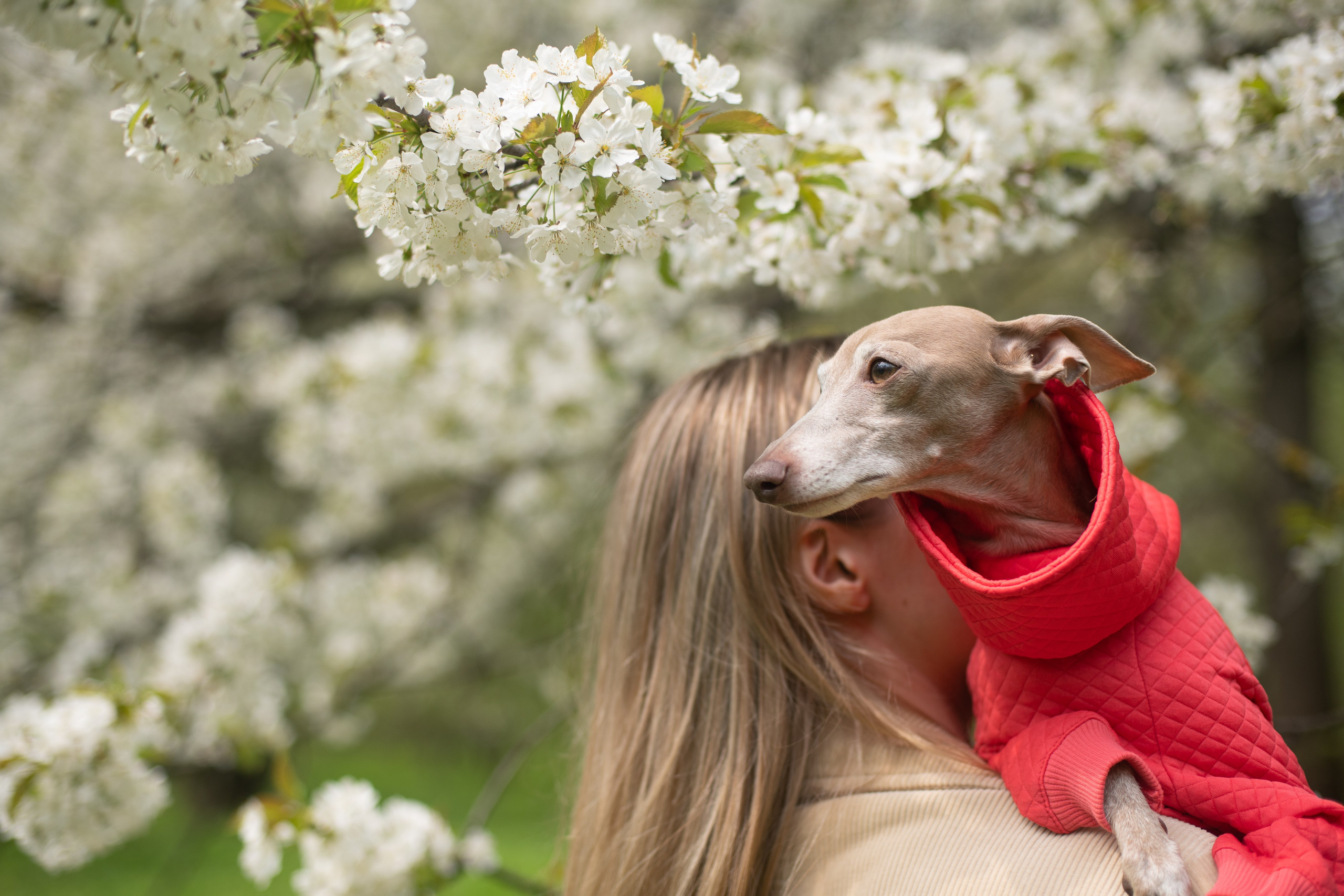 Олеся и Илай. Ботанический сад. Фотограф-анималист, Brand-фотограф в Москве Евгения Кононенко