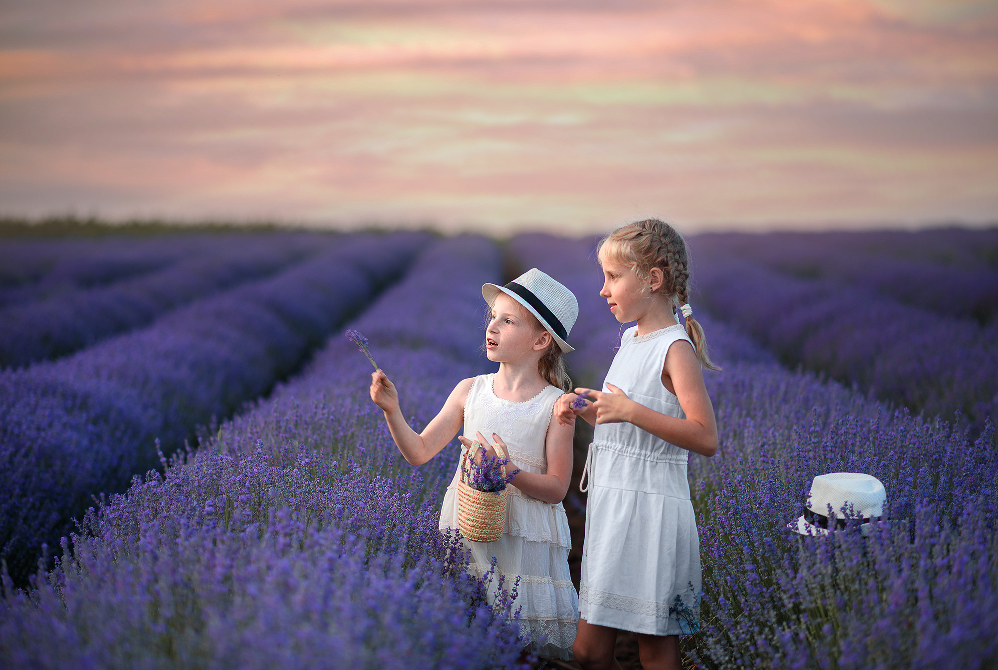 Лаванда в Болгарии, Фотограф в Болгарии, Фотограф в Созополе