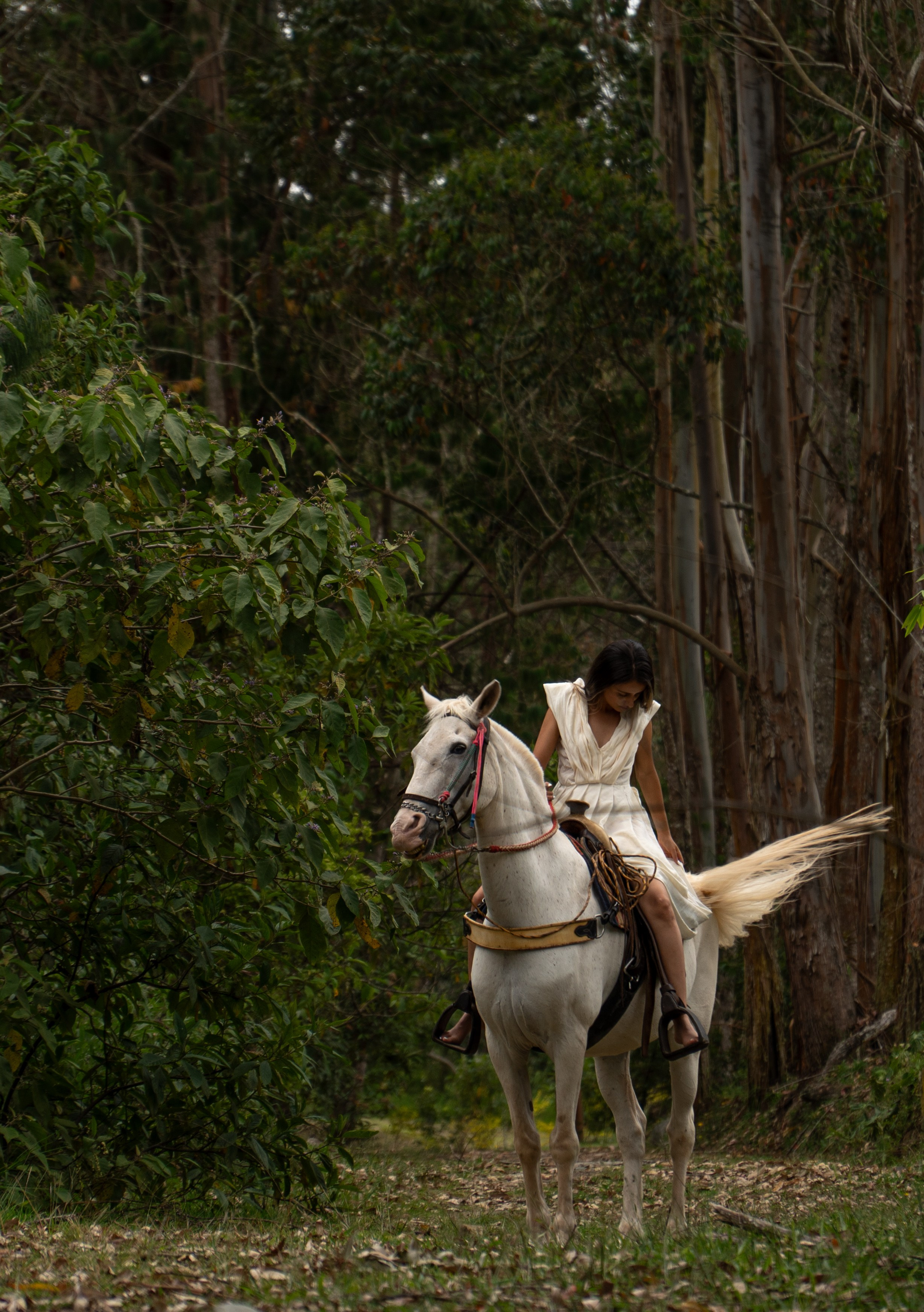 Preboda Aleja. Wedding Photographer in Barcelona and Medellin
