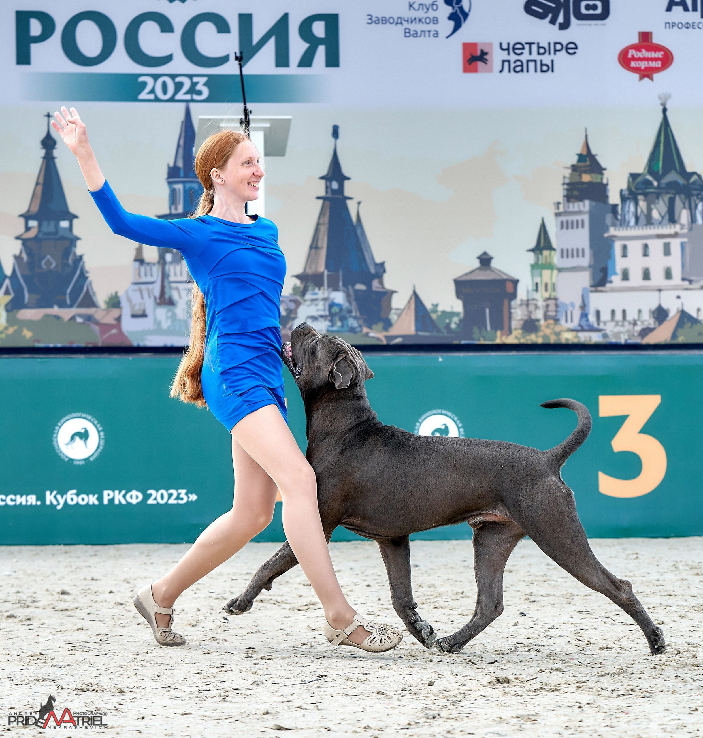 Обидиенс и танцы с собаками — галерея NATRIEL