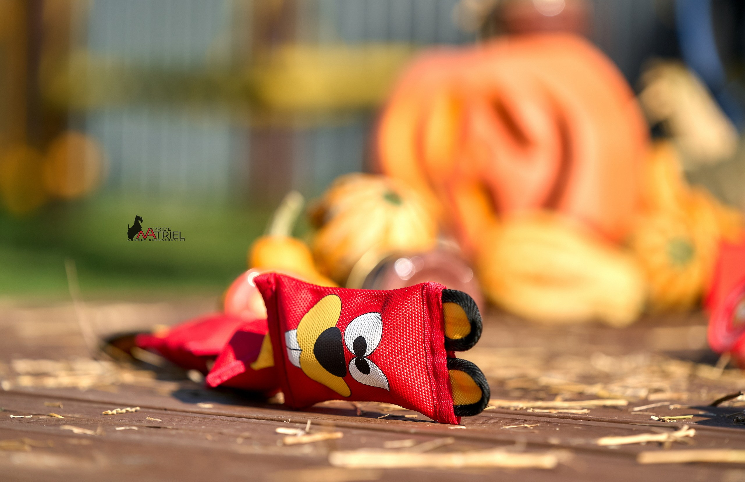 Предметная съемка — галерея NATRIEL