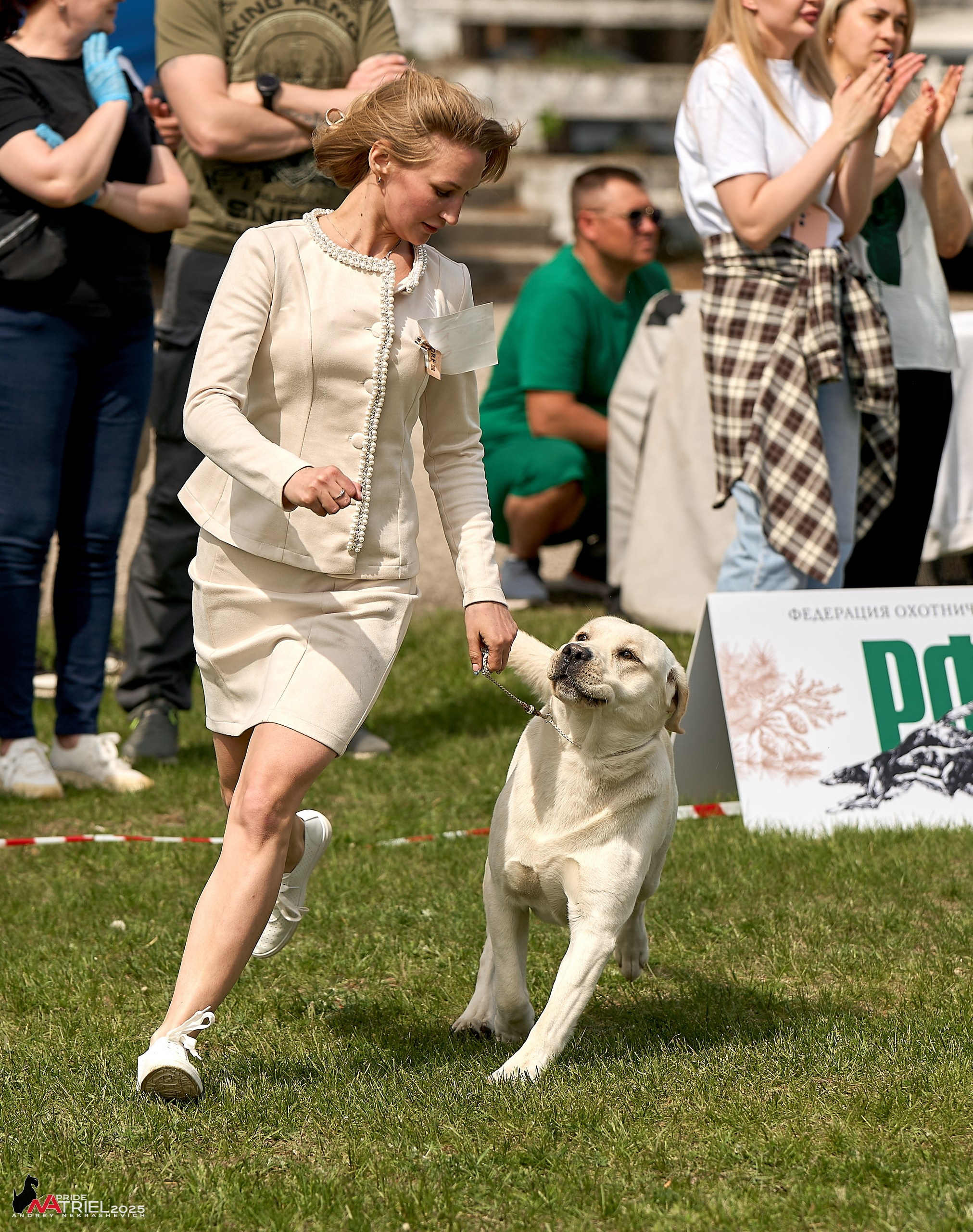 Выставка собак Суздаль-Владимир