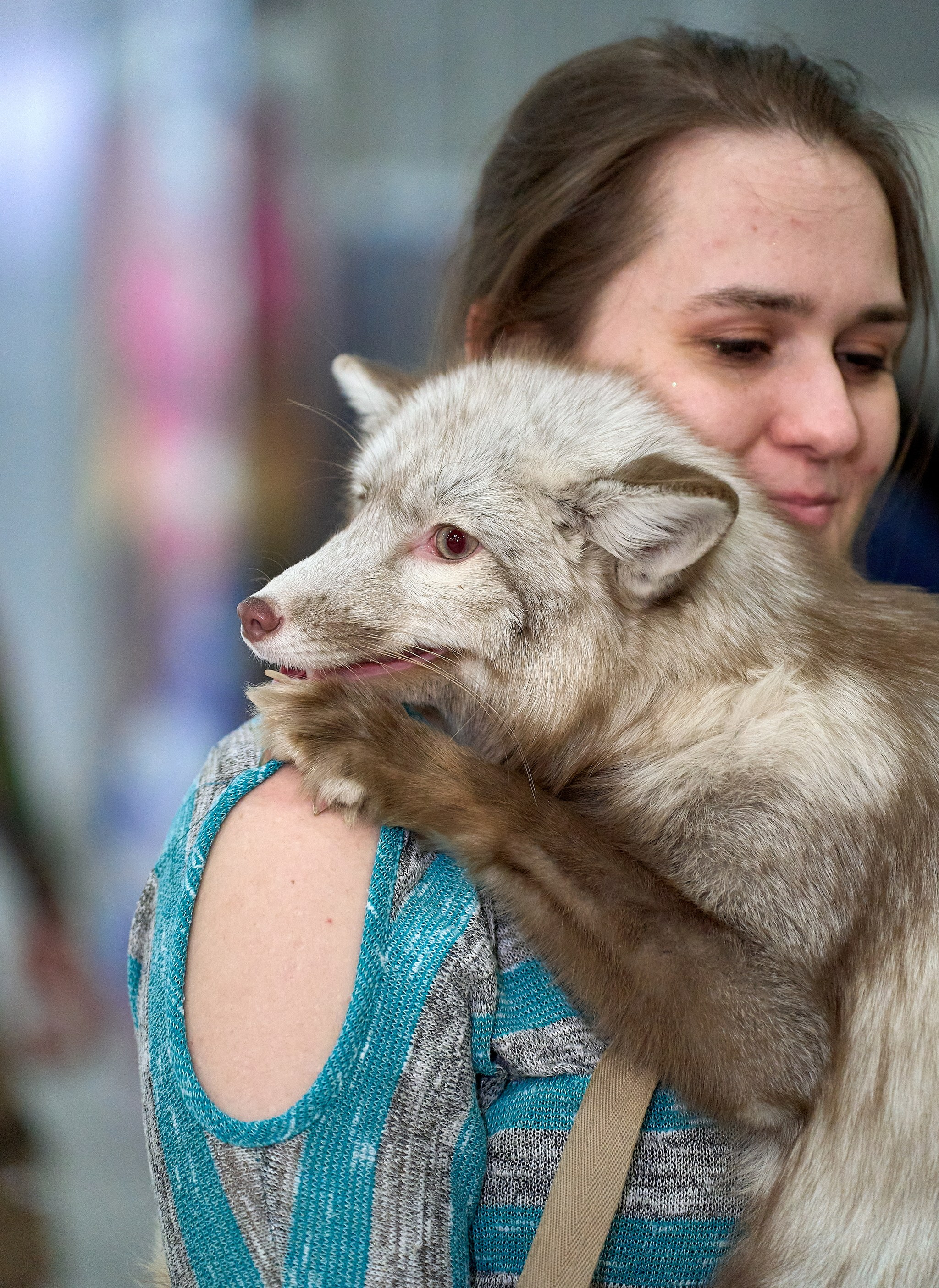 Выставки животных — галерея NATRIEL