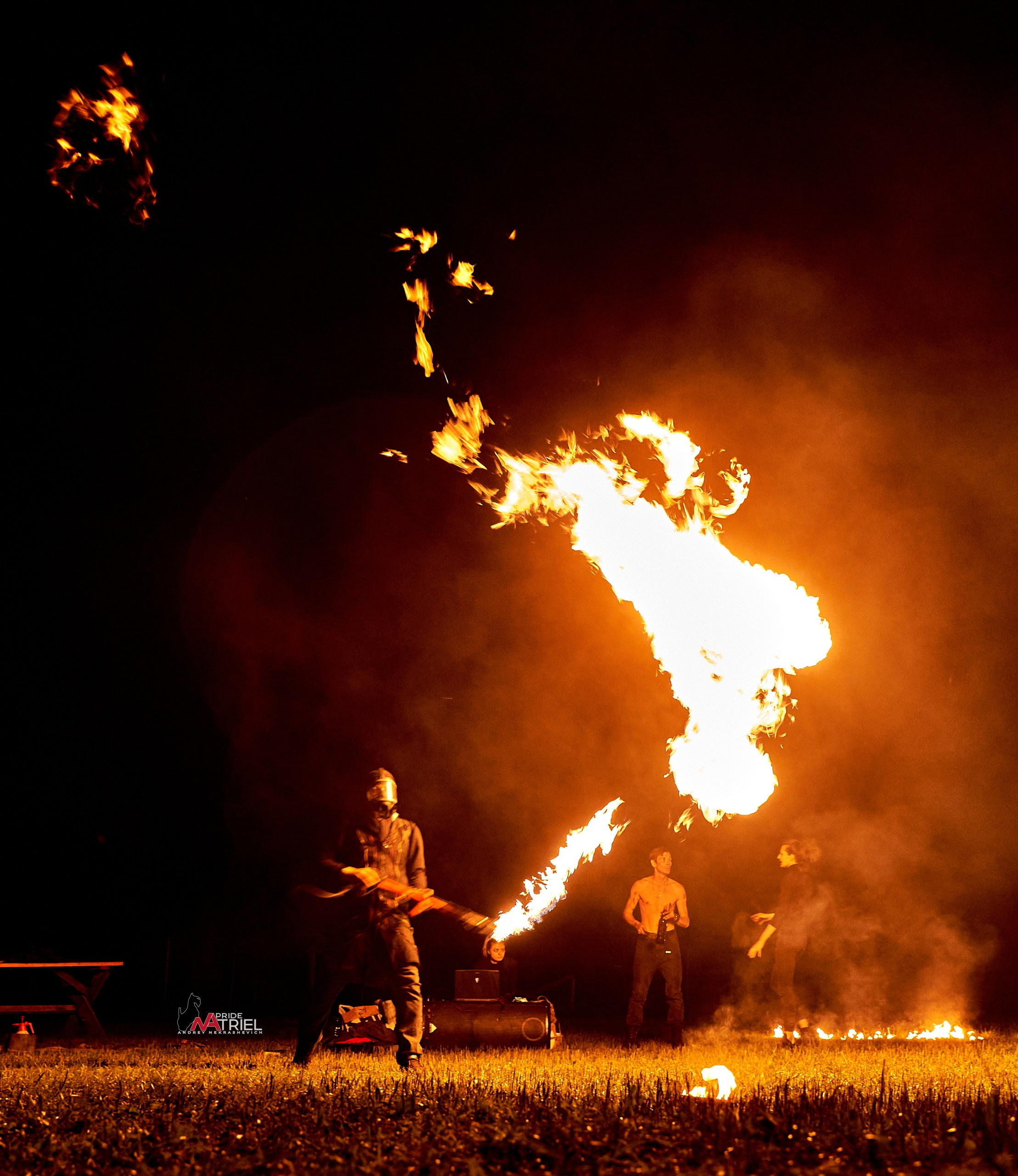 Огонь, Ветер, Вода, Земля — галерея NATRIEL