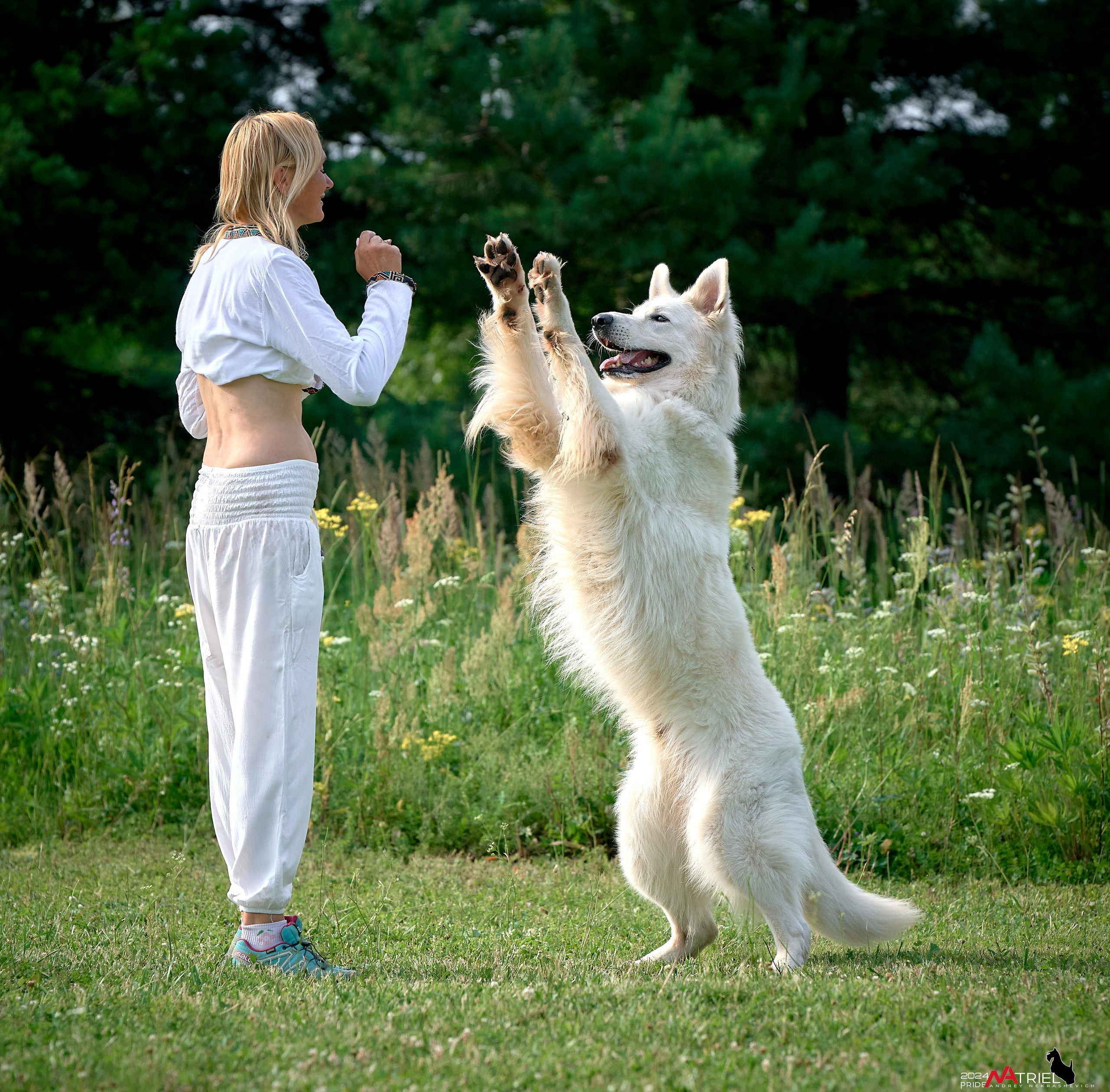 Репортаж из кинологического лагеря