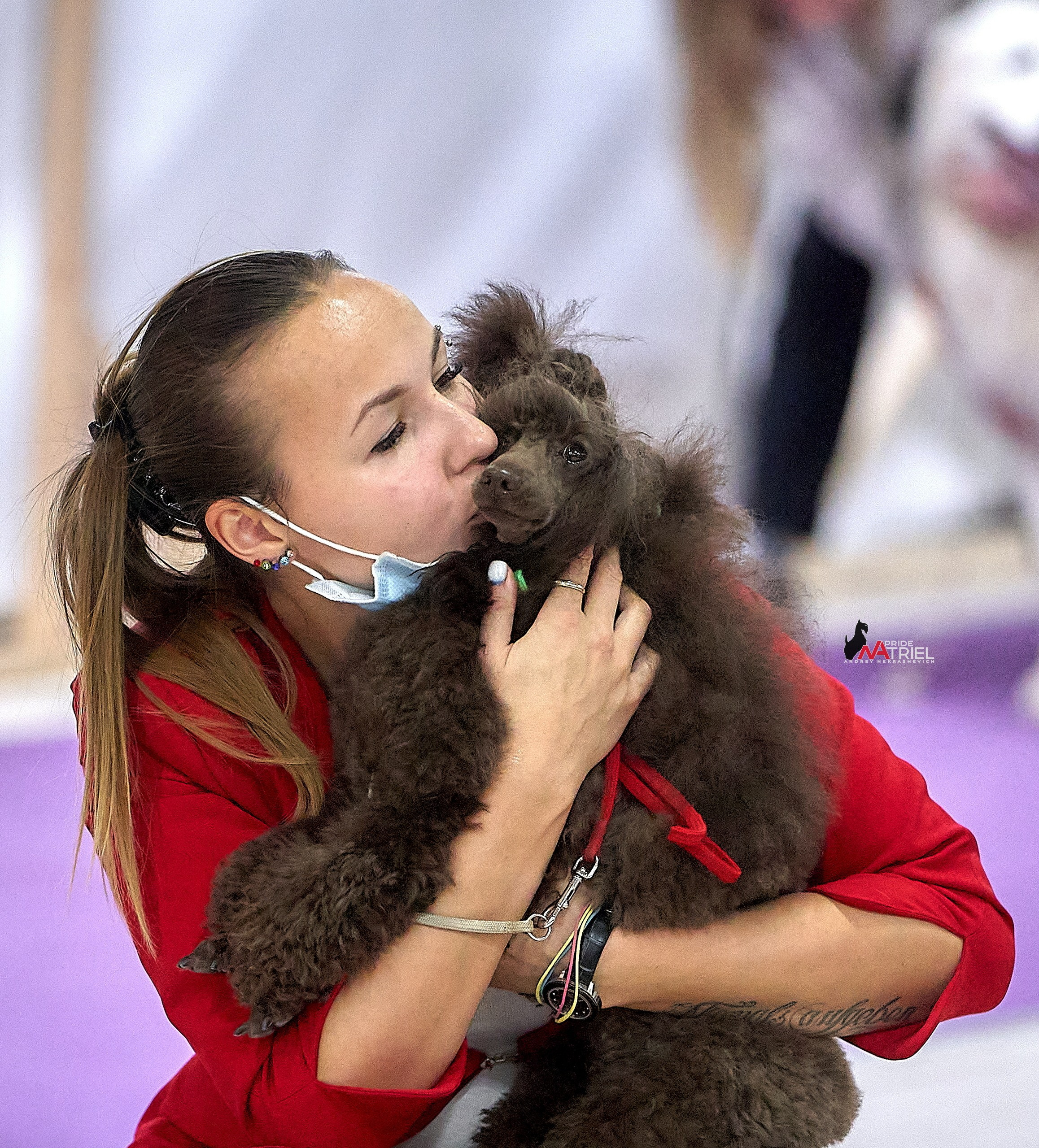 Собаки и Люди — галерея NATRIEL