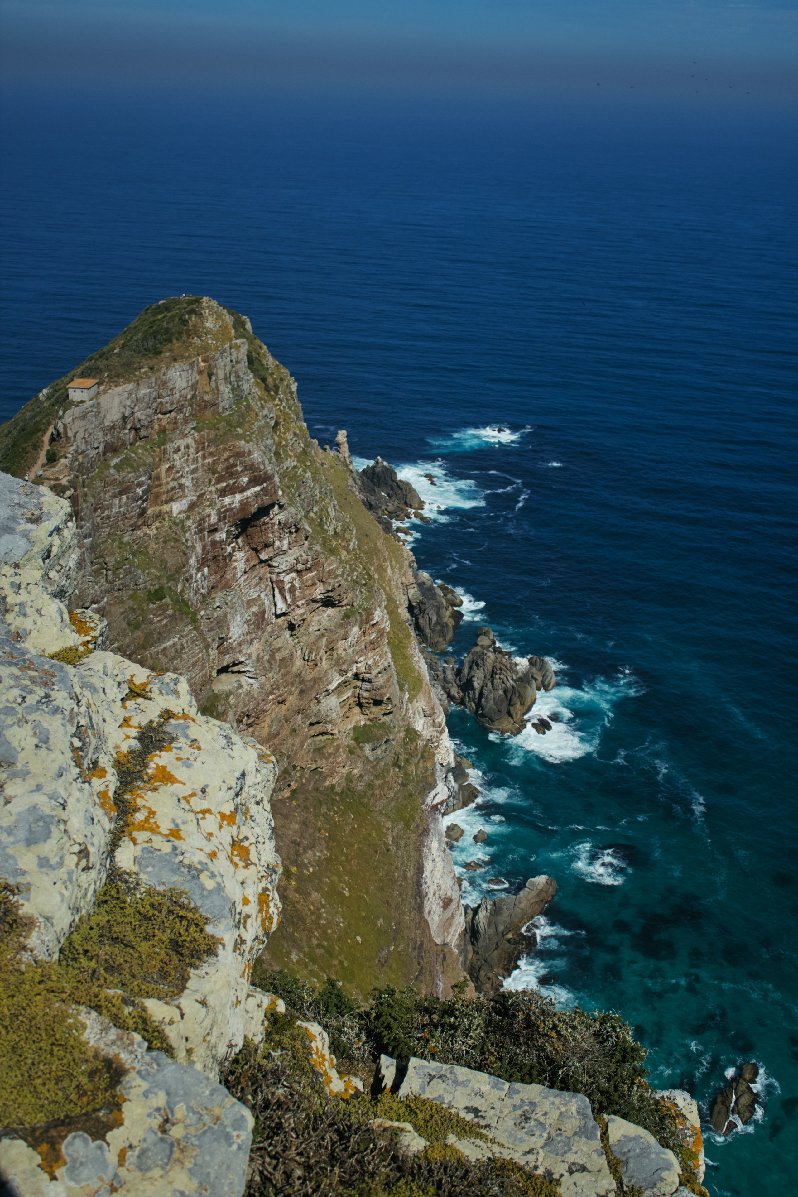 ЮАР. Профессиональный Фотограф во Владимире, в Москве и в Суздале — Полина Романычева