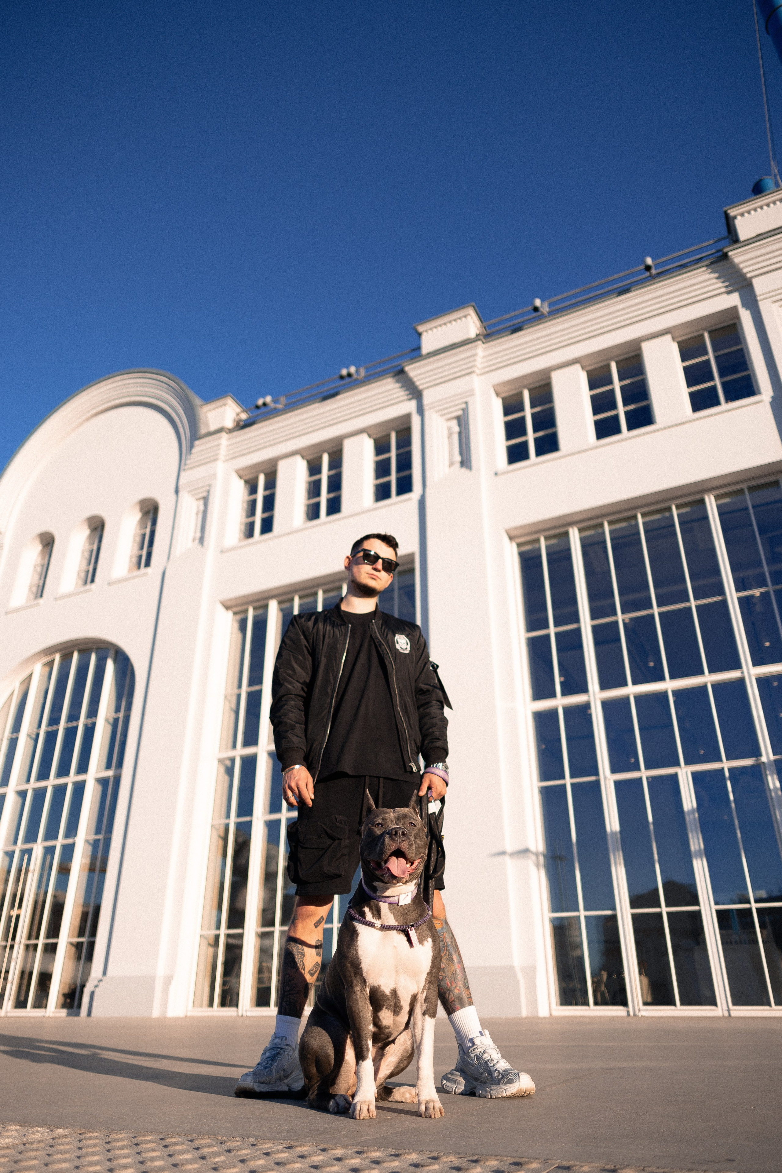 Катя, Леша, Трой и Лея. Фотограф и видеограф анималист Аганина Дарья