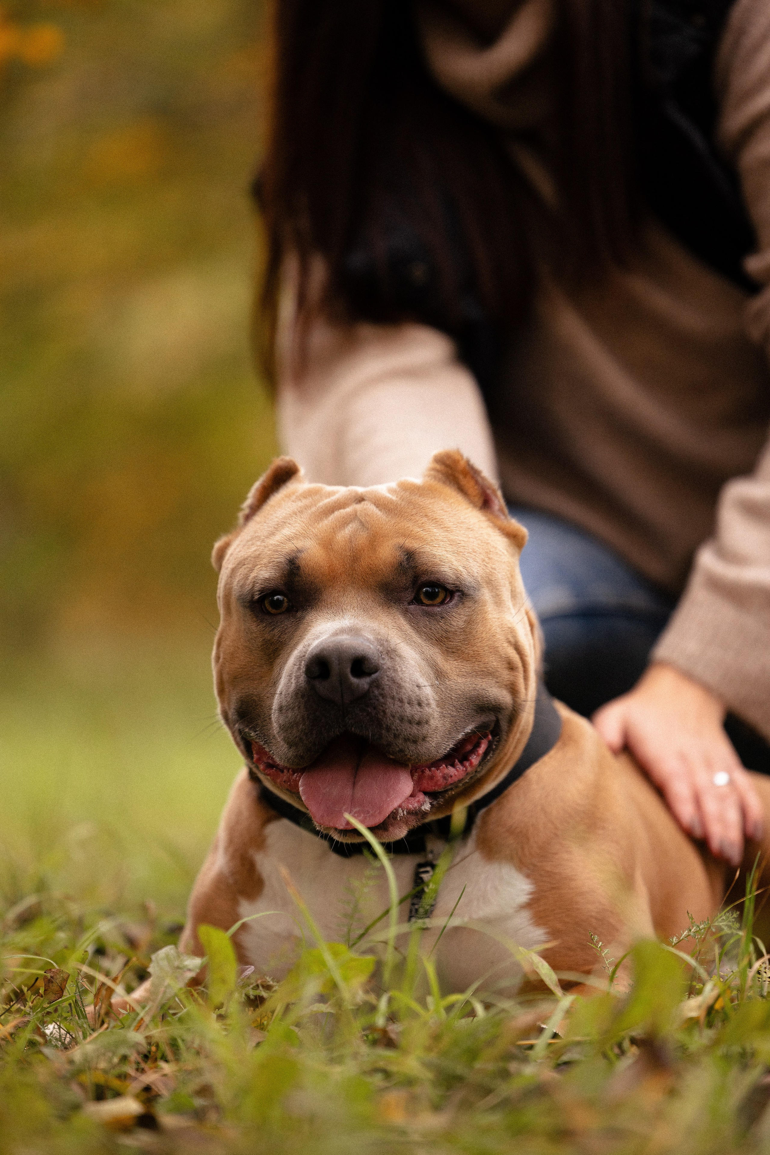 Алена и Тор. Фотограф и видеограф анималист Аганина Дарья