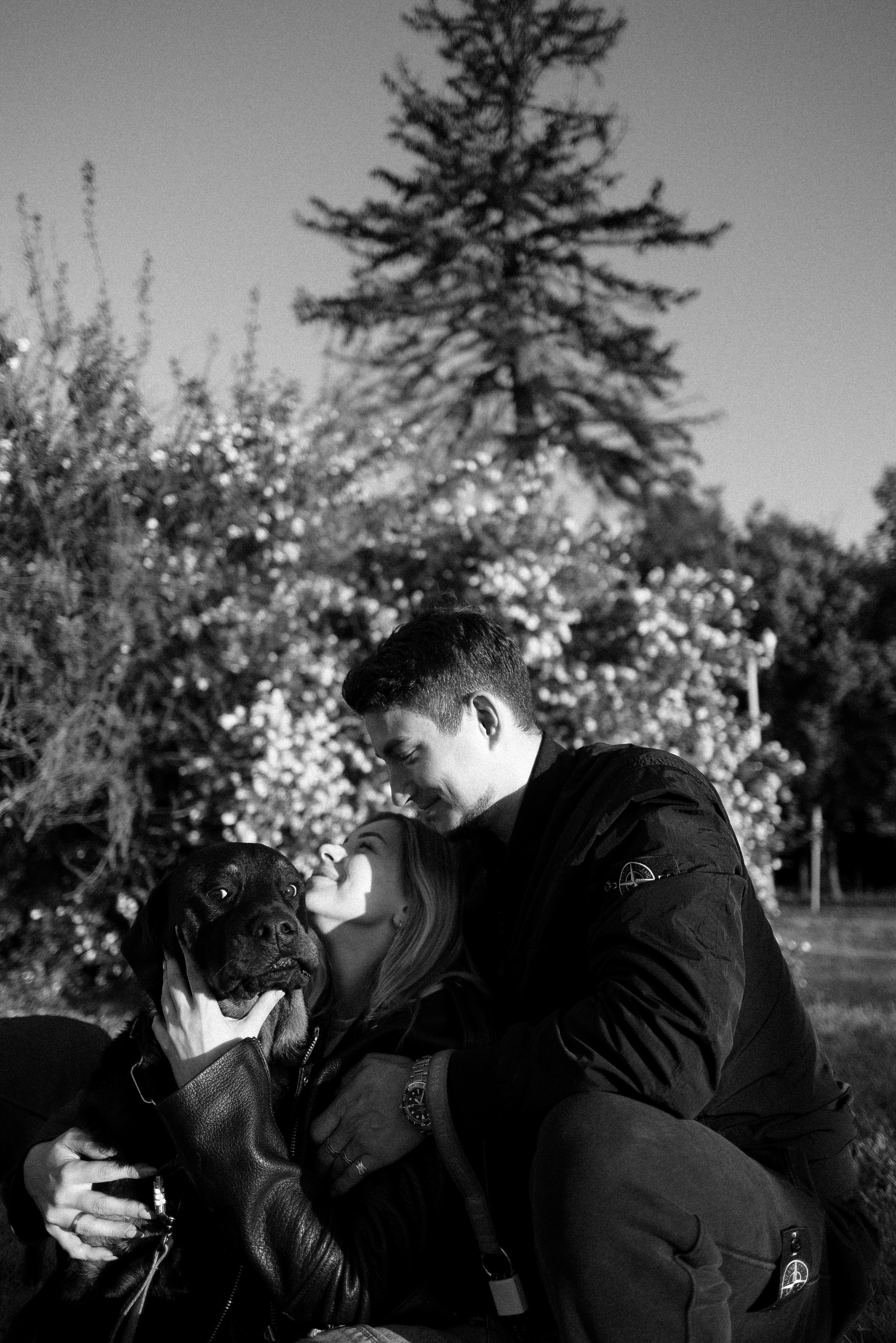 Катя, Леша, Лея и Трой. Фотограф и видеограф анималист Аганина Дарья