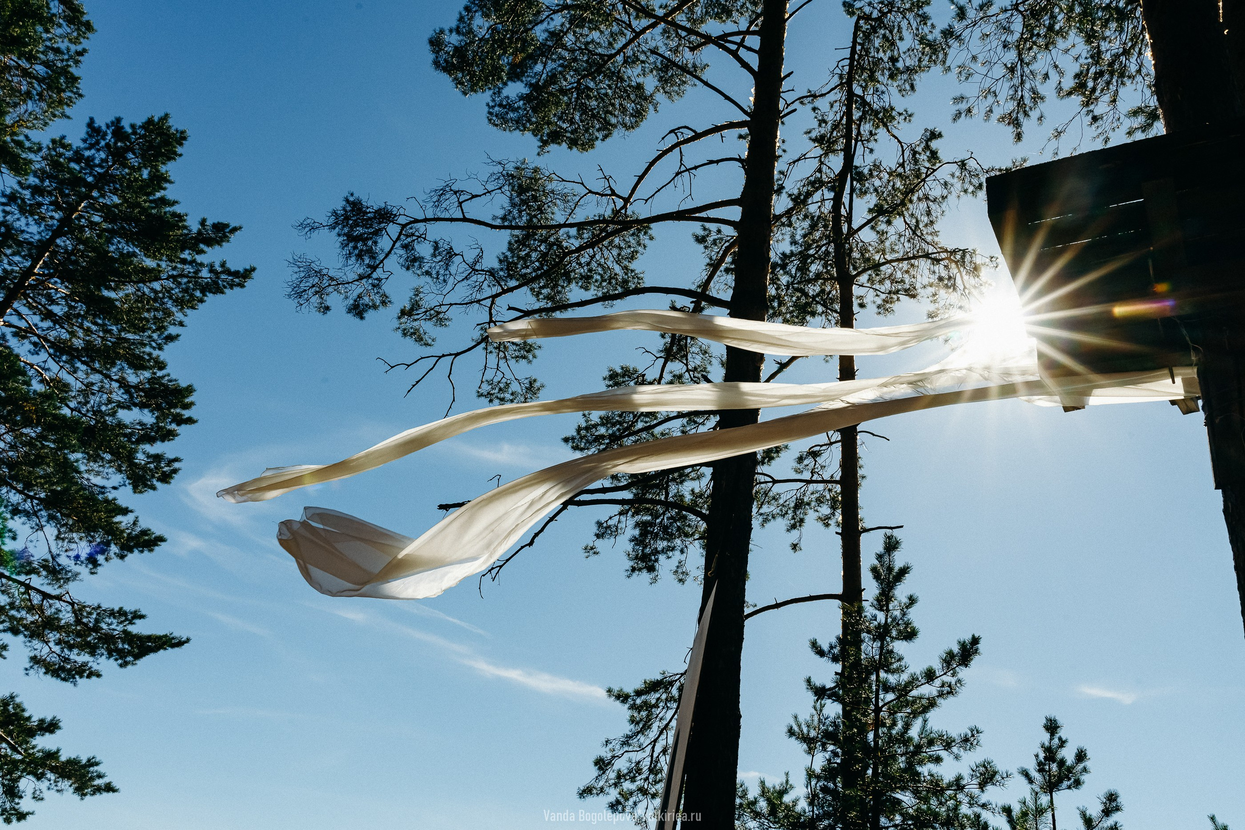 Фестиваль «Дофамин» 2024. Фотосъемка, свадебная фотосъемка, Москва, Нижний Новгород