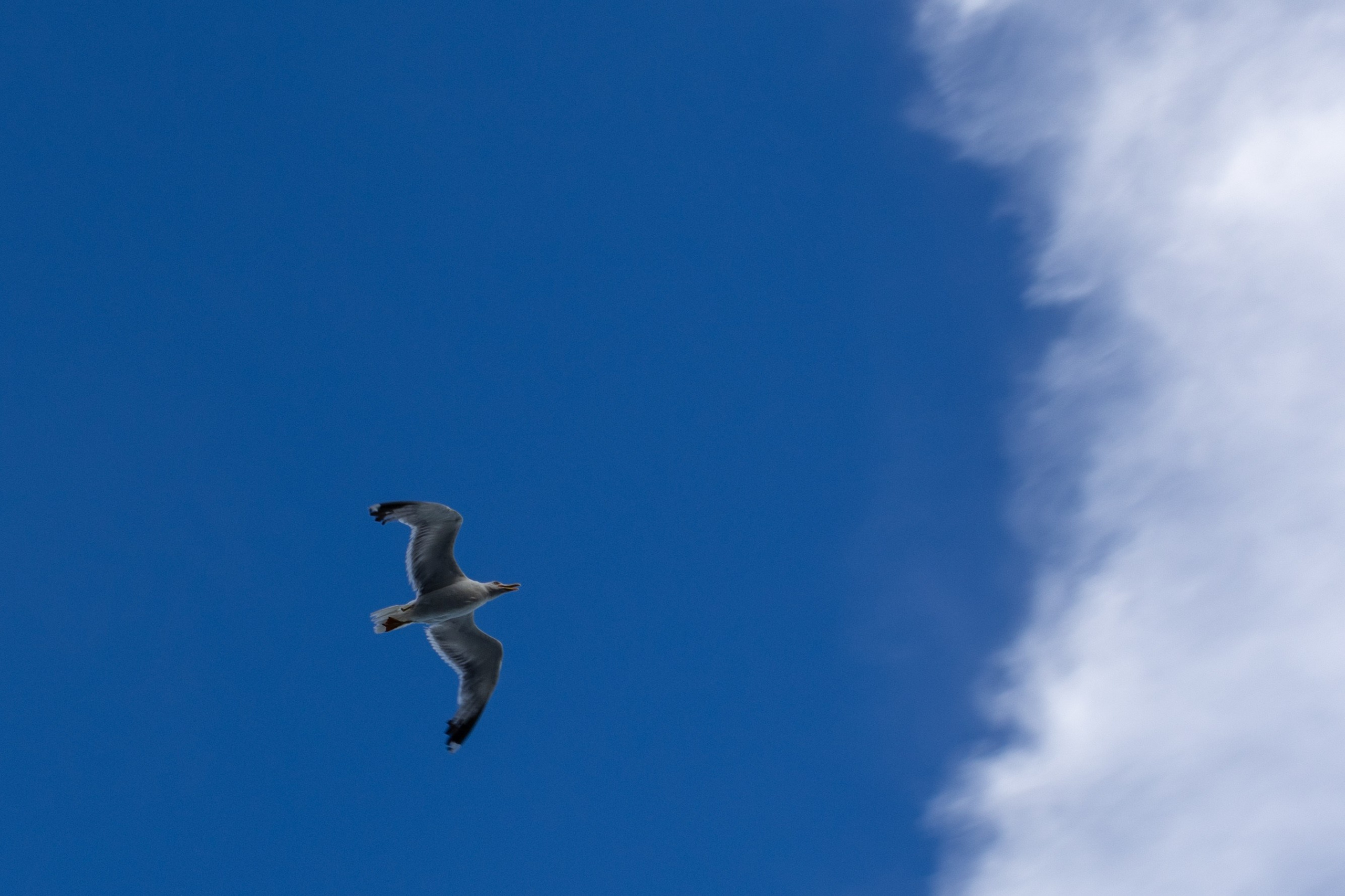 Природа. Be_Legend