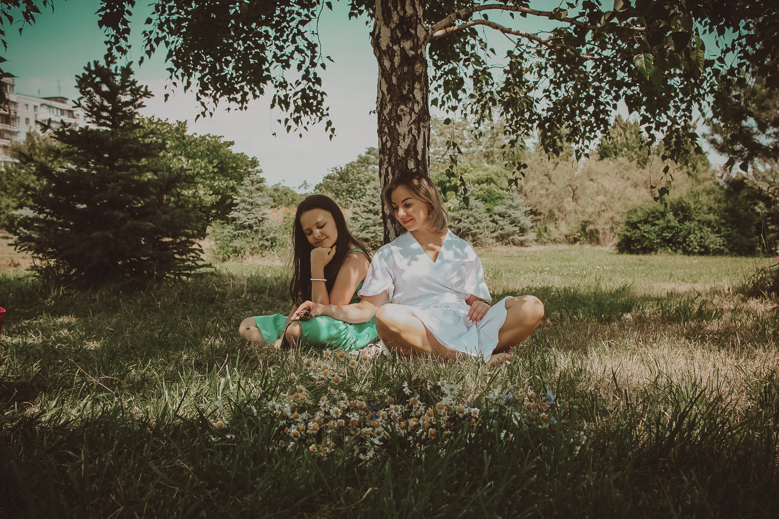 Летний парк и ромашки. Коммерческий фотограф. Ростов-на-Дону. Дарья Константинова